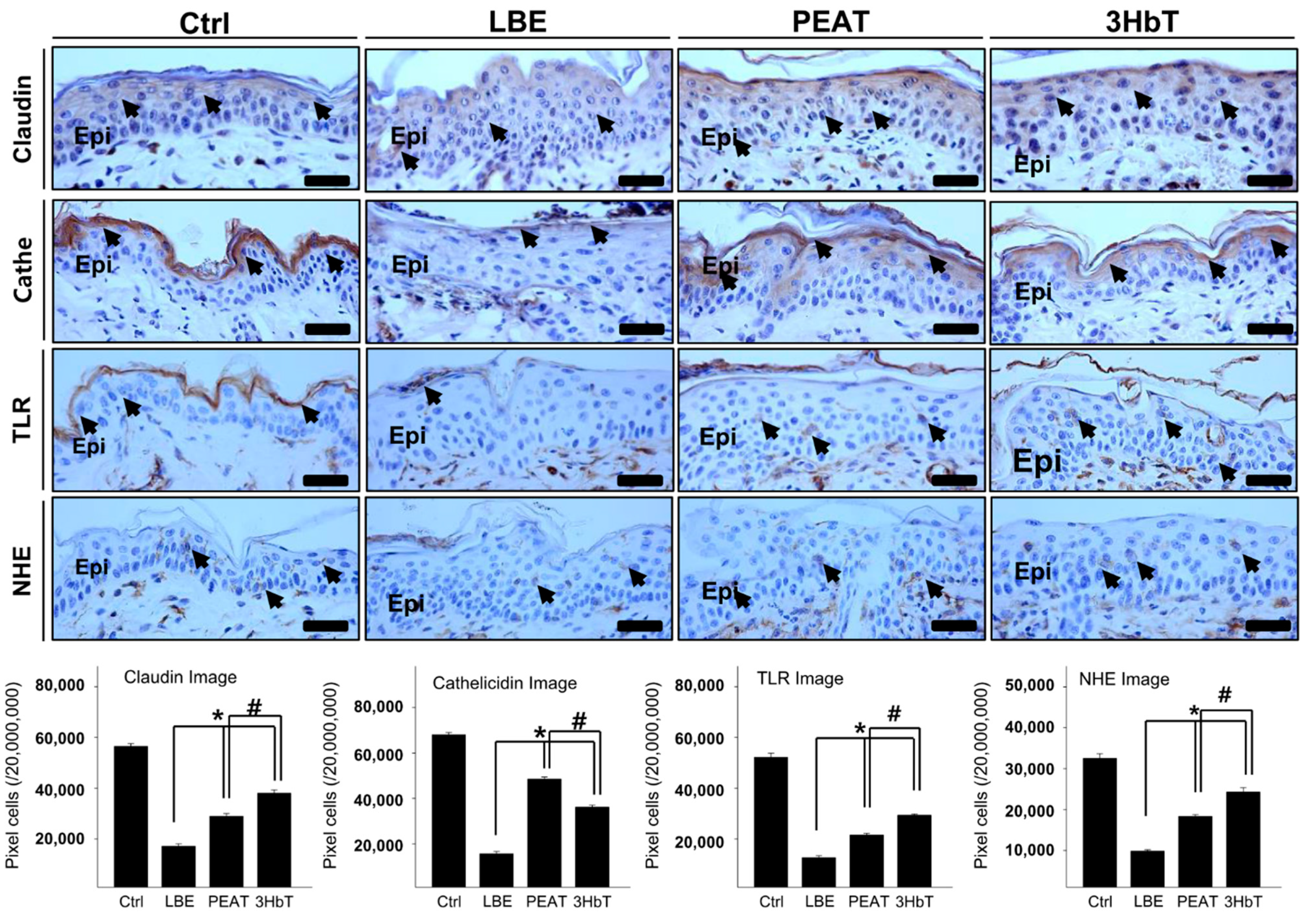 Applsci 11 08380 g006