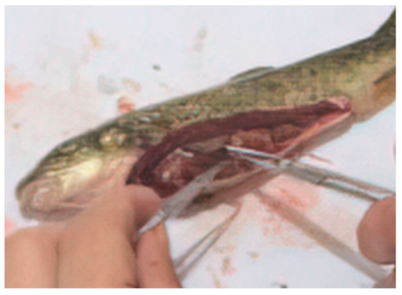 Applsci 11 08392 g001 Applsci 11 08392 g001