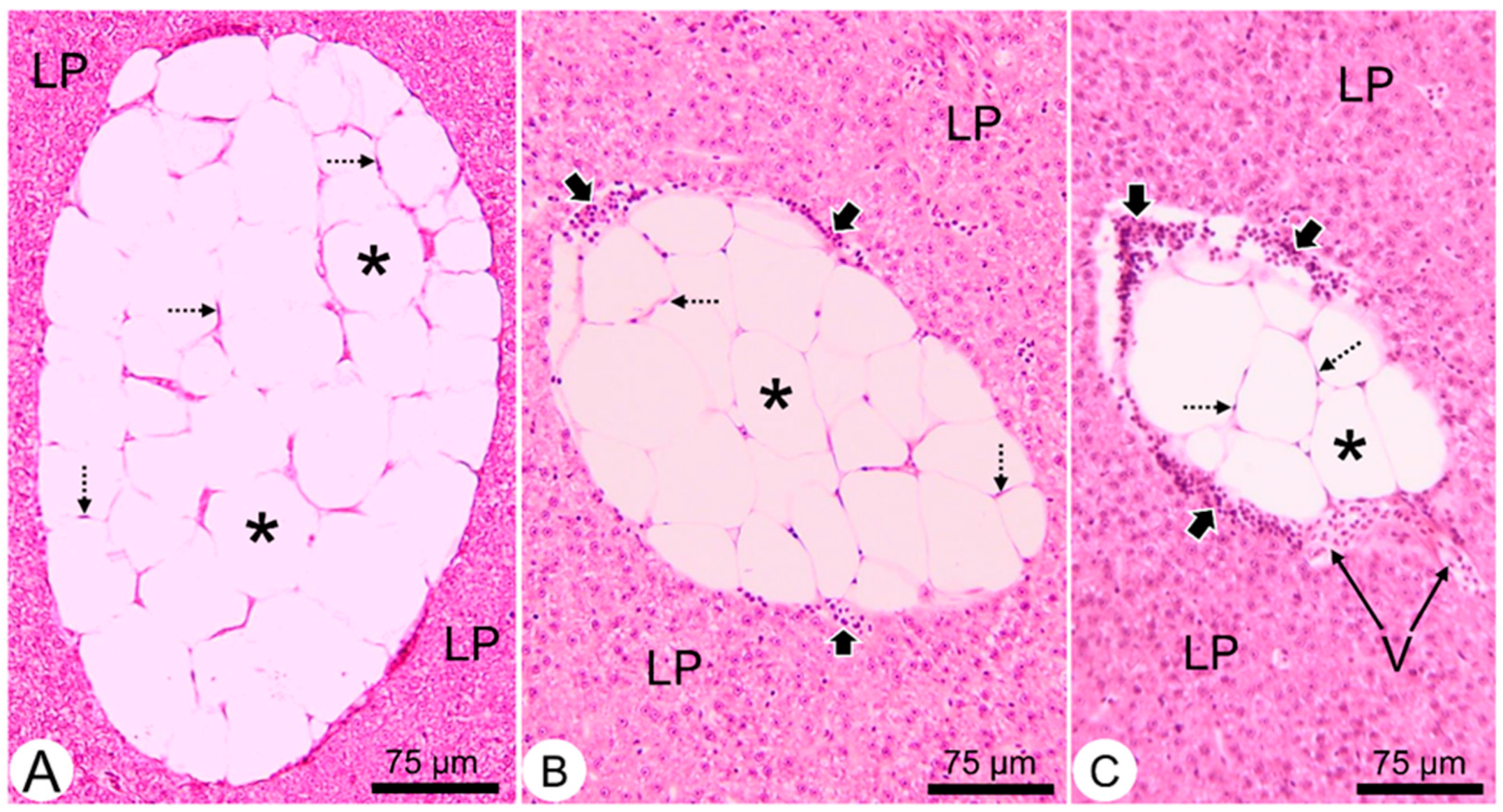 Applsci 11 08392 g002 Applsci 11 08392 g002
