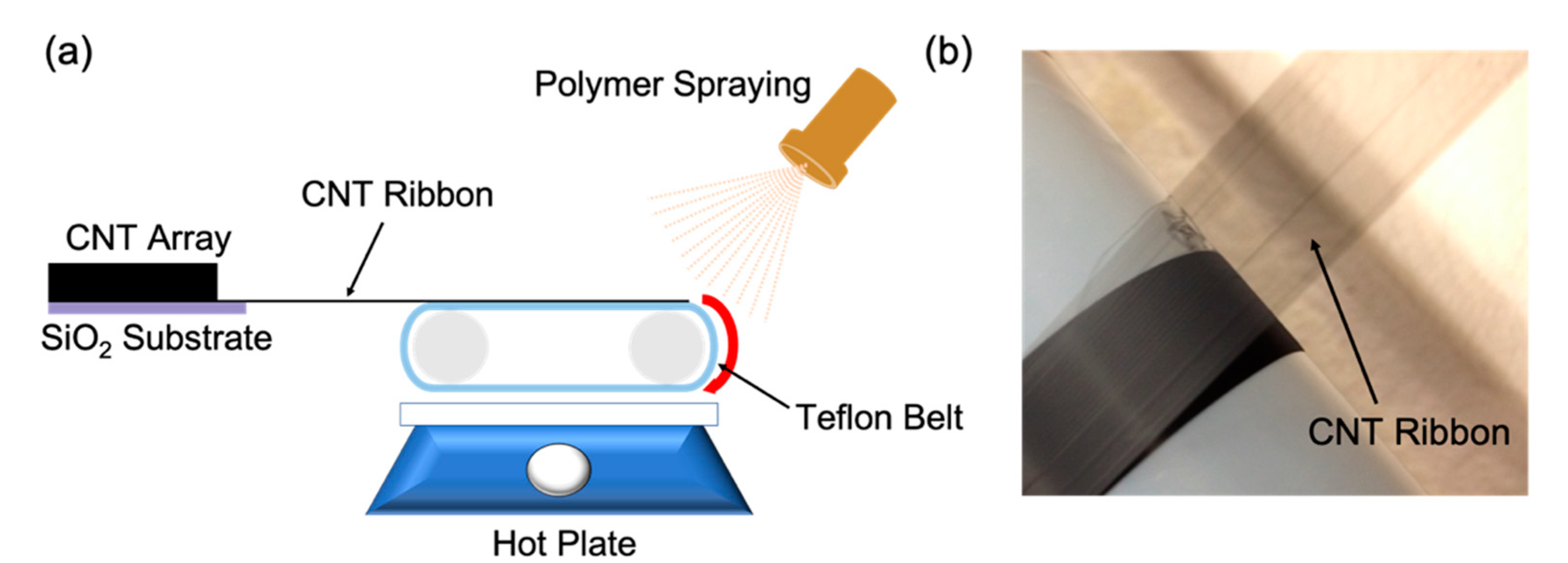 Applsci 11 08399 g001