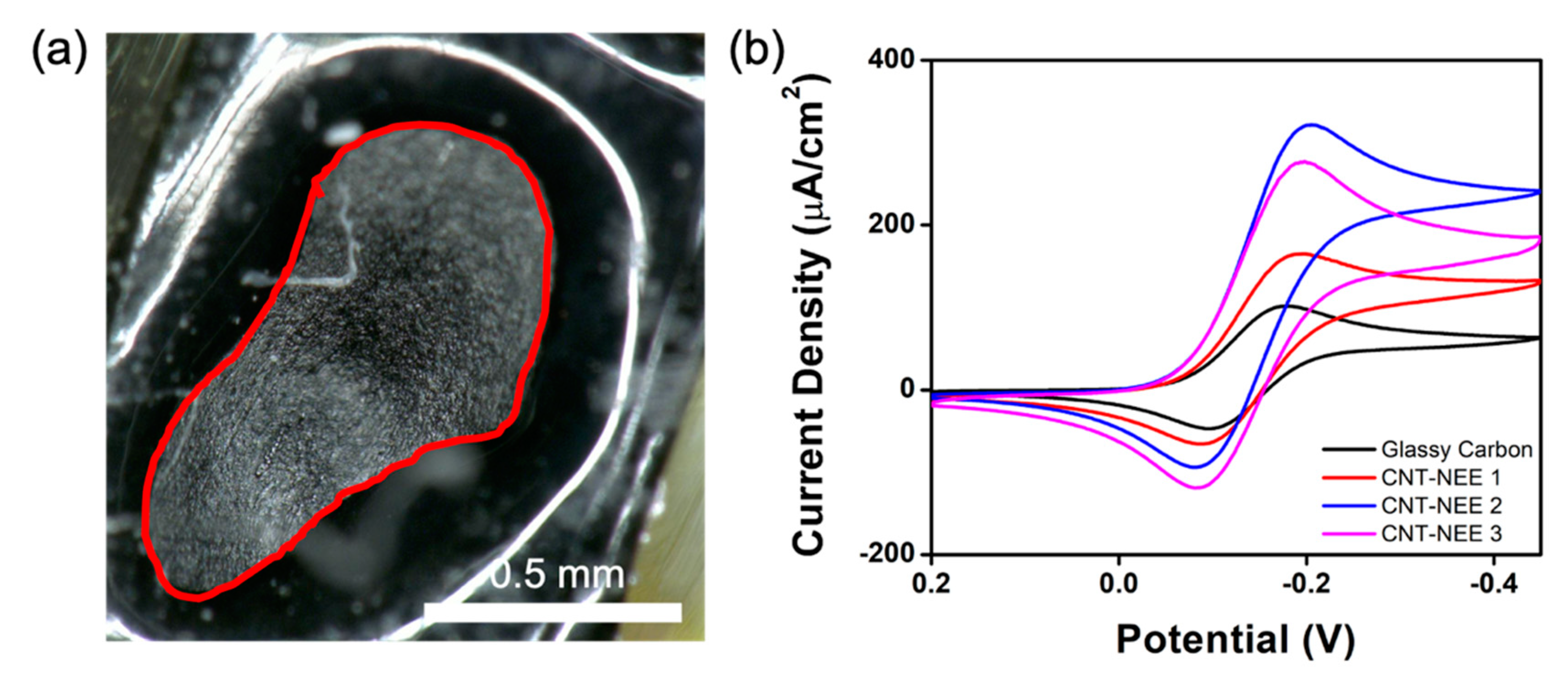 Applsci 11 08399 g005