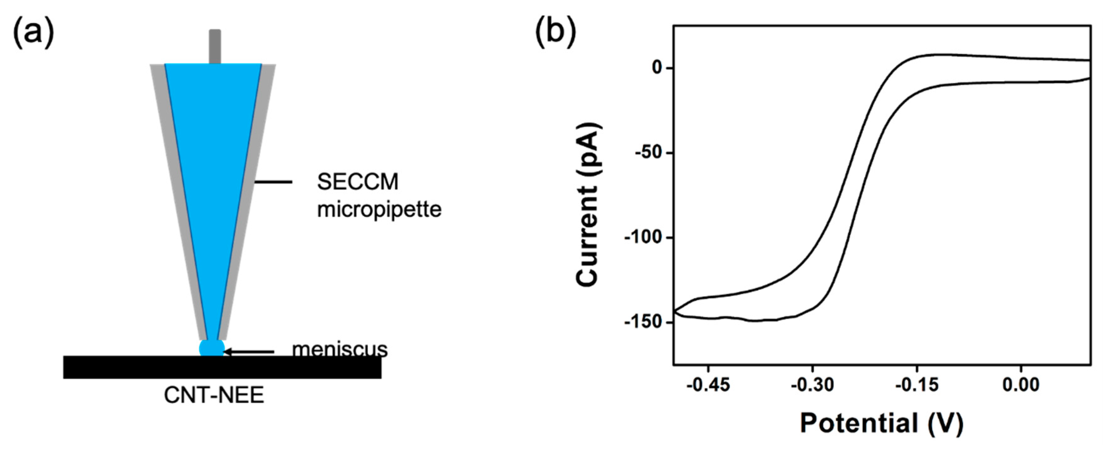 Applsci 11 08399 g007