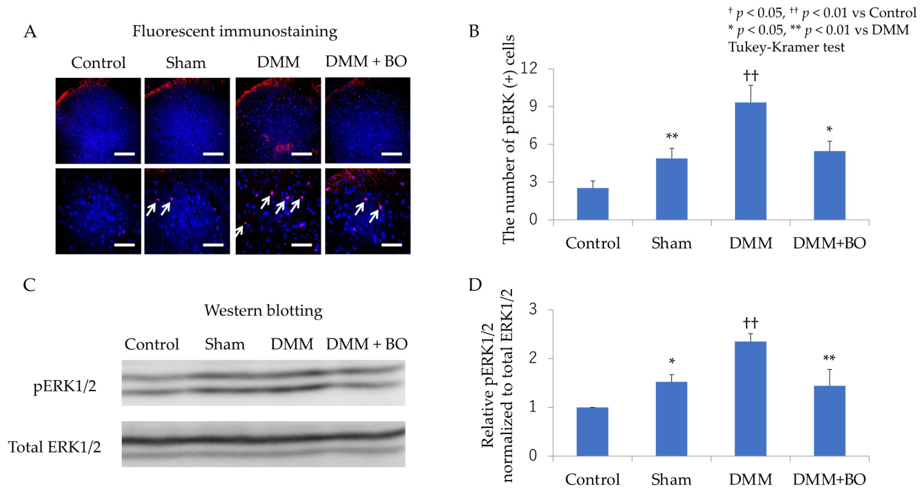 Applsci 11 08421 g005