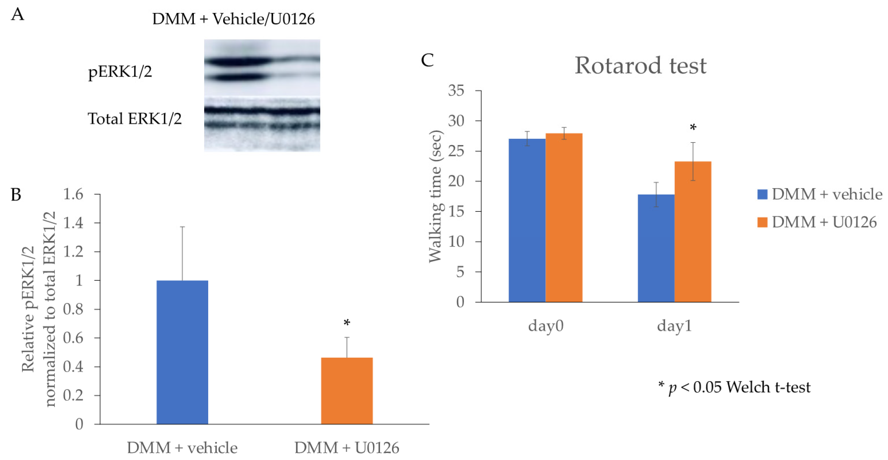 Applsci 11 08421 g006