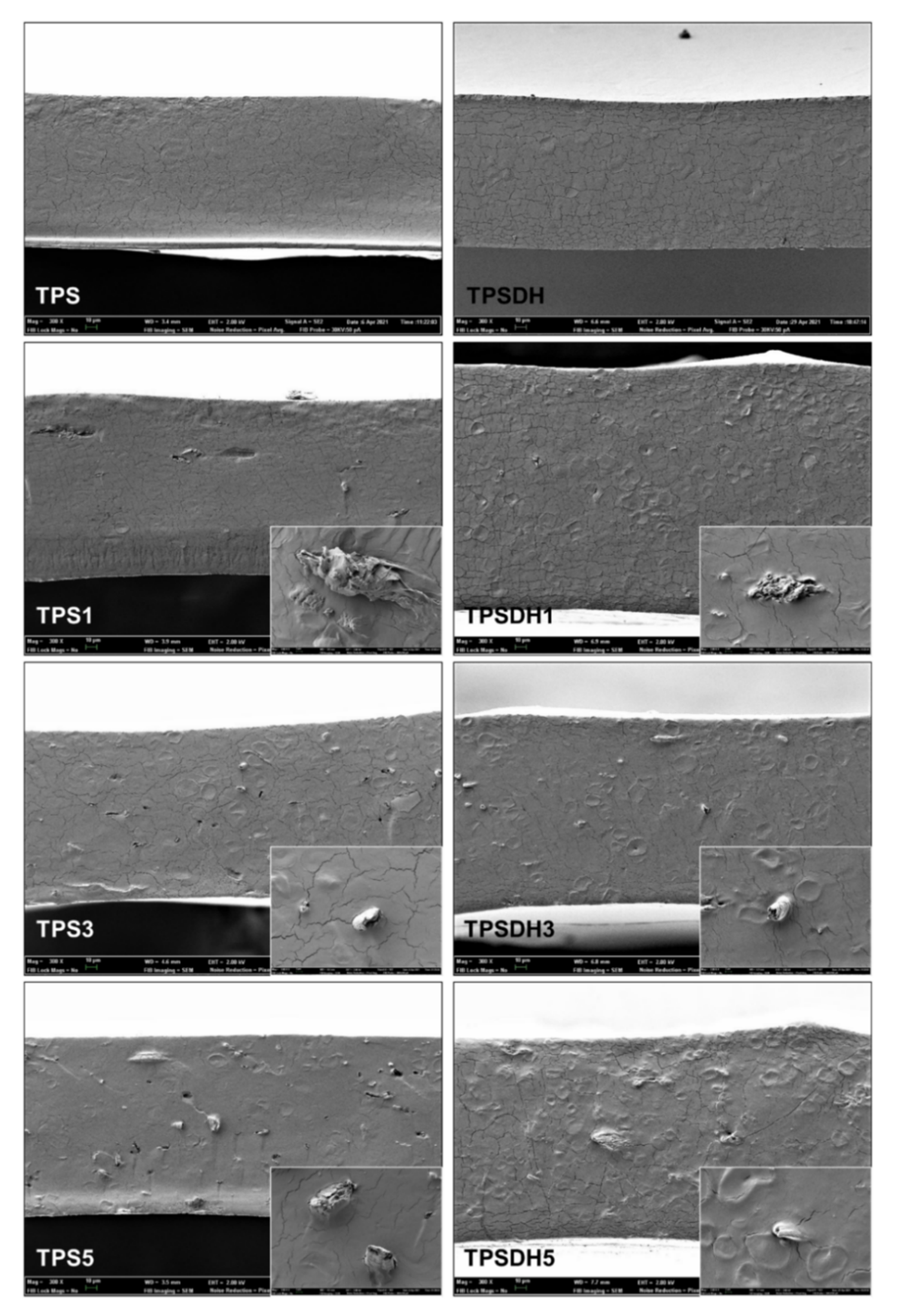 Applsci 11 08433 g004