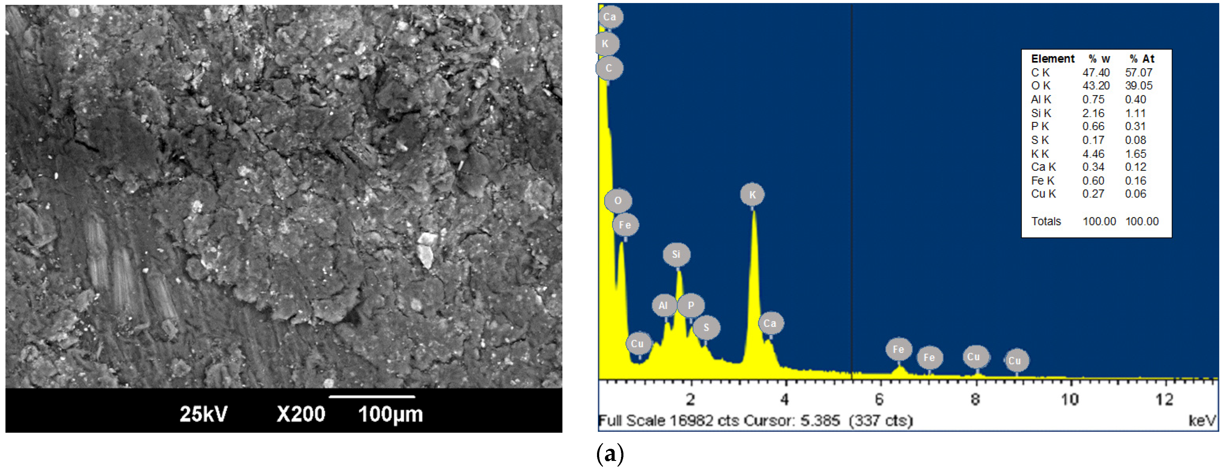 Applsci 11 08455 g001a Applsci 11 08455 g001a