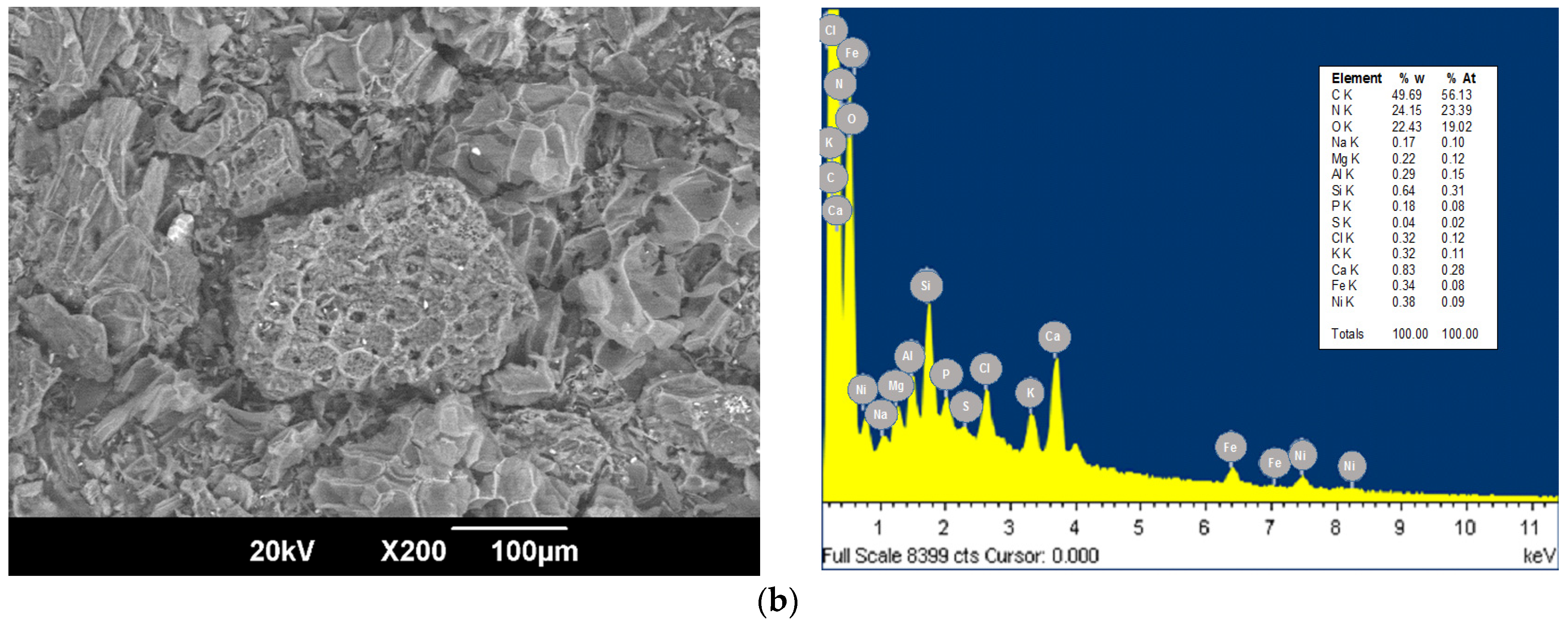 Applsci 11 08455 g002b Applsci 11 08455 g002b