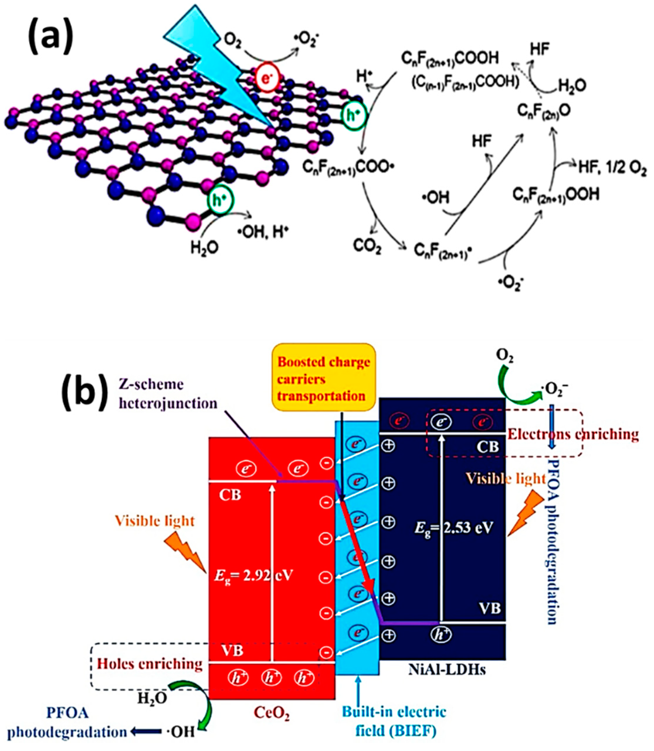 Applsci 11 08458 g005