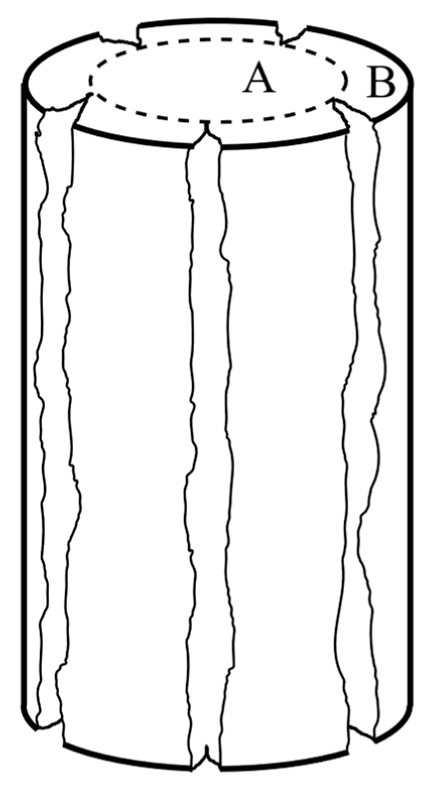 Applsci 11 08460 g012