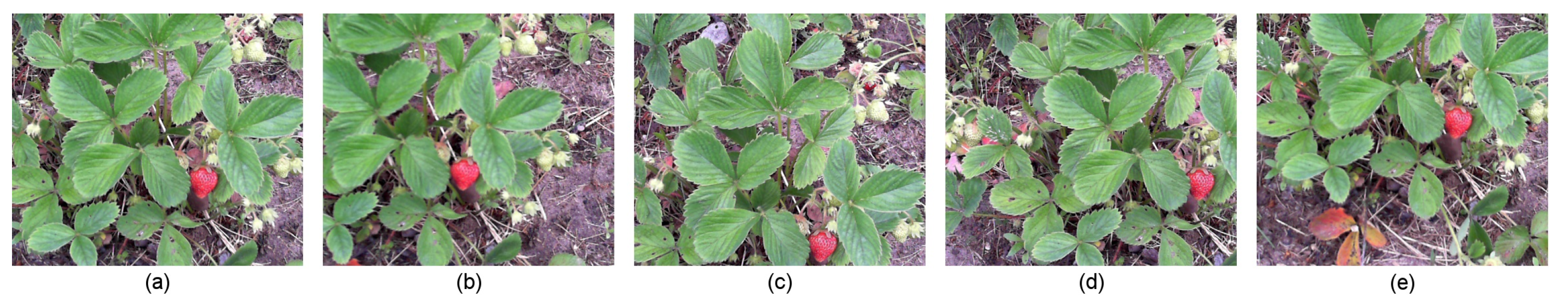 Applsci 11 08464 g005