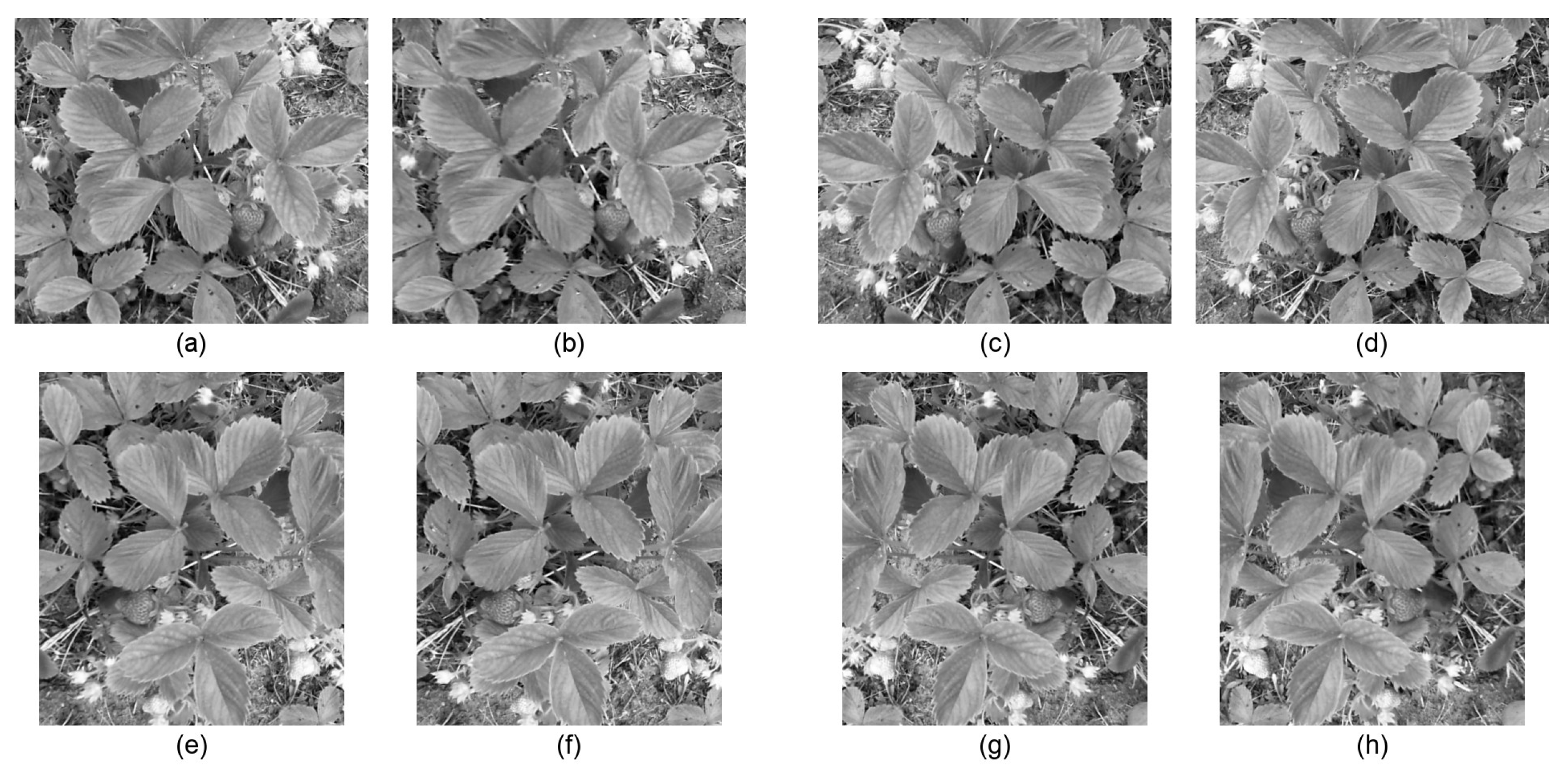 Applsci 11 08464 g006