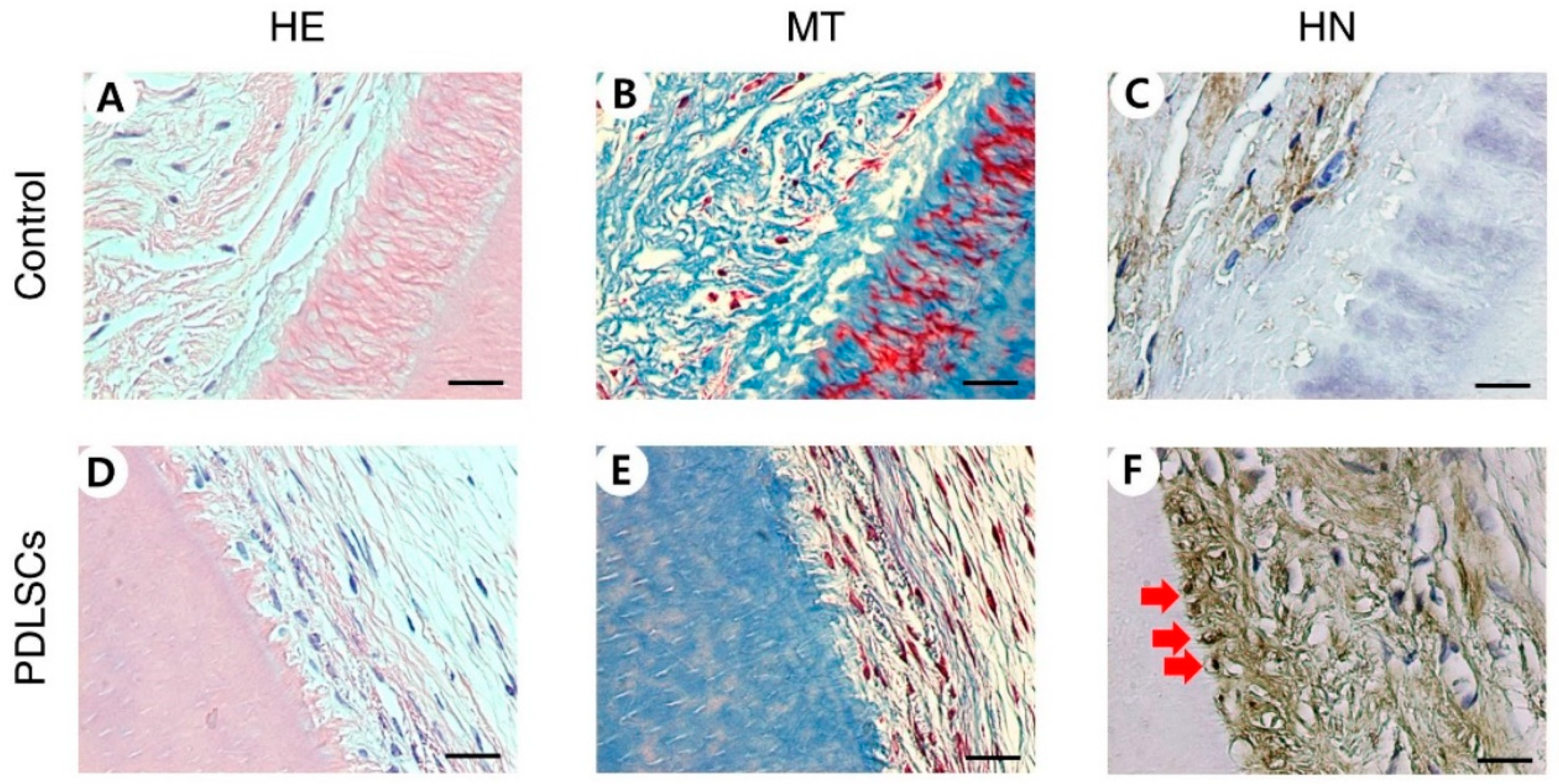 Applsci 11 08472 g001