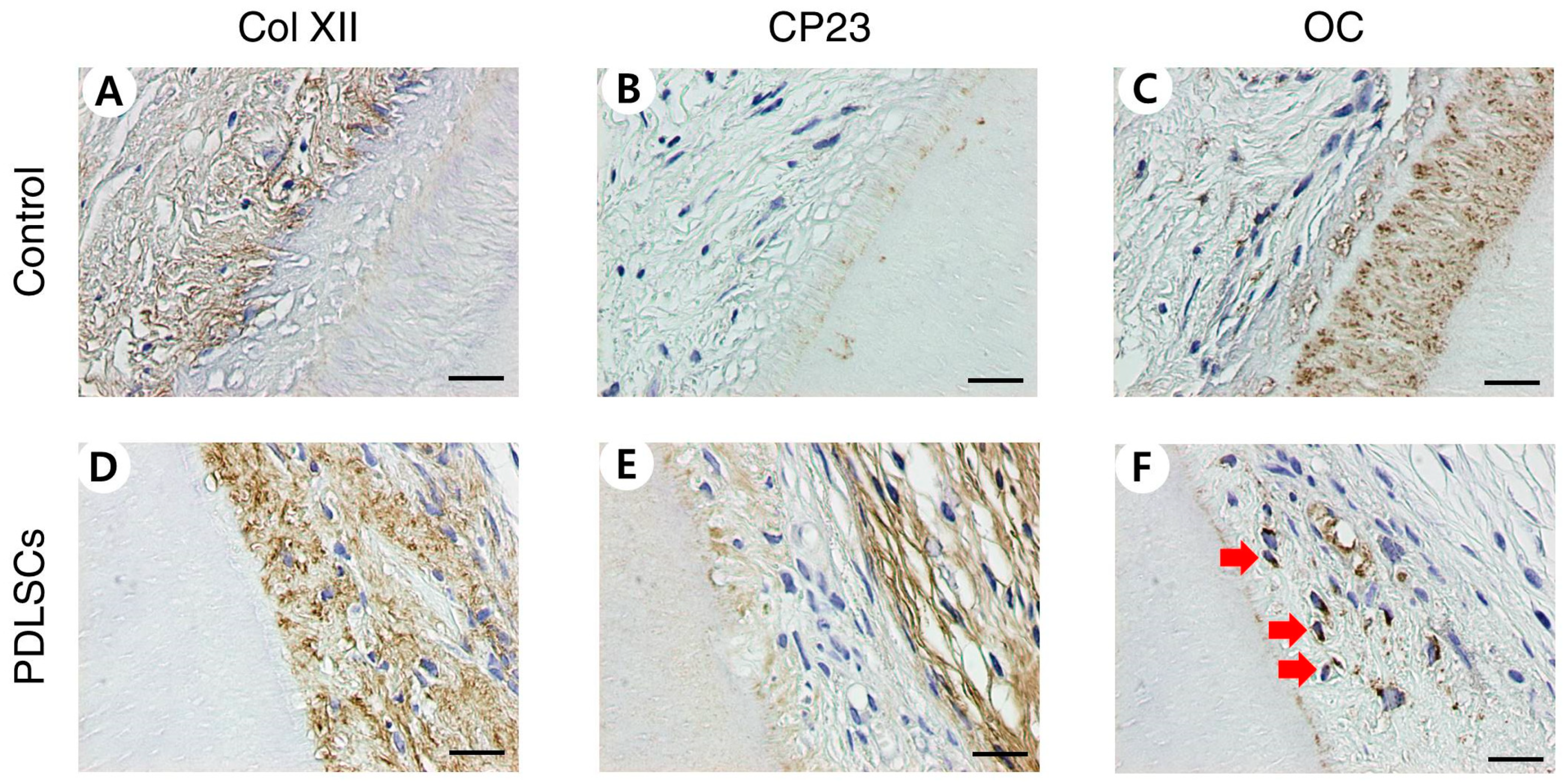 Applsci 11 08472 g002