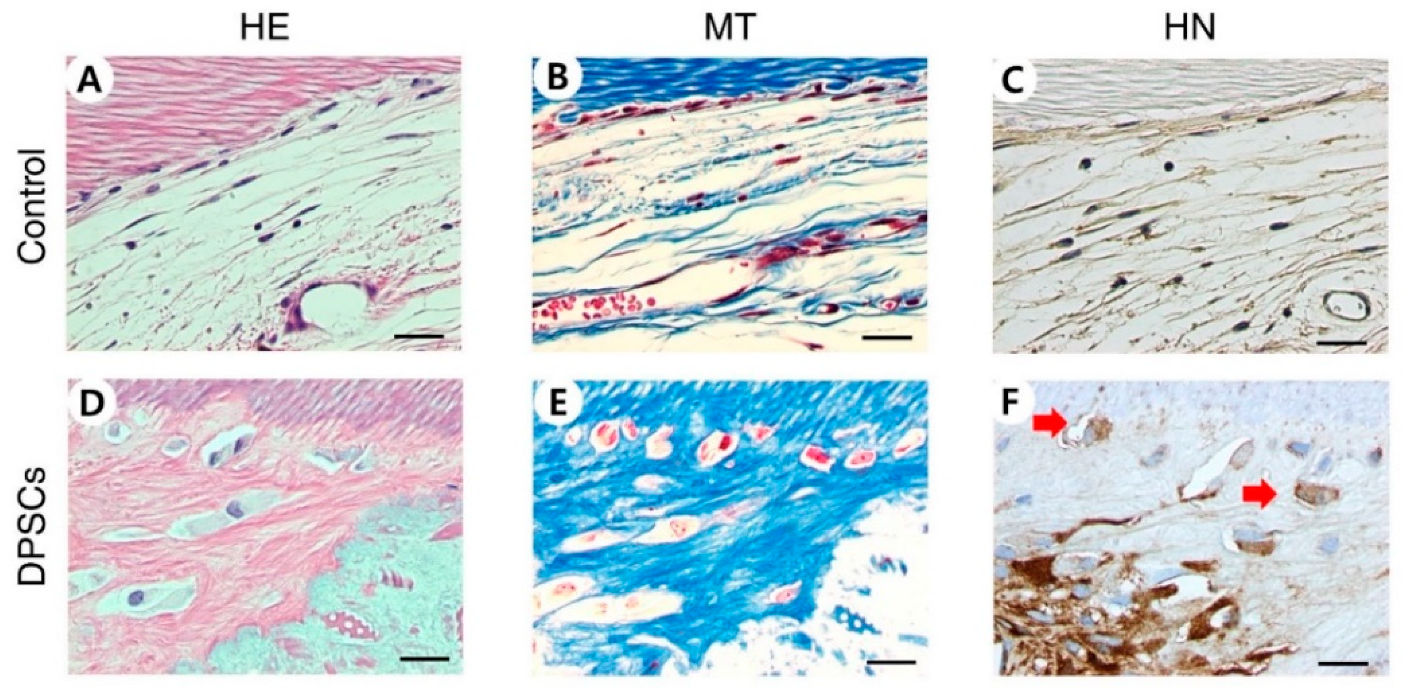 Applsci 11 08472 g004