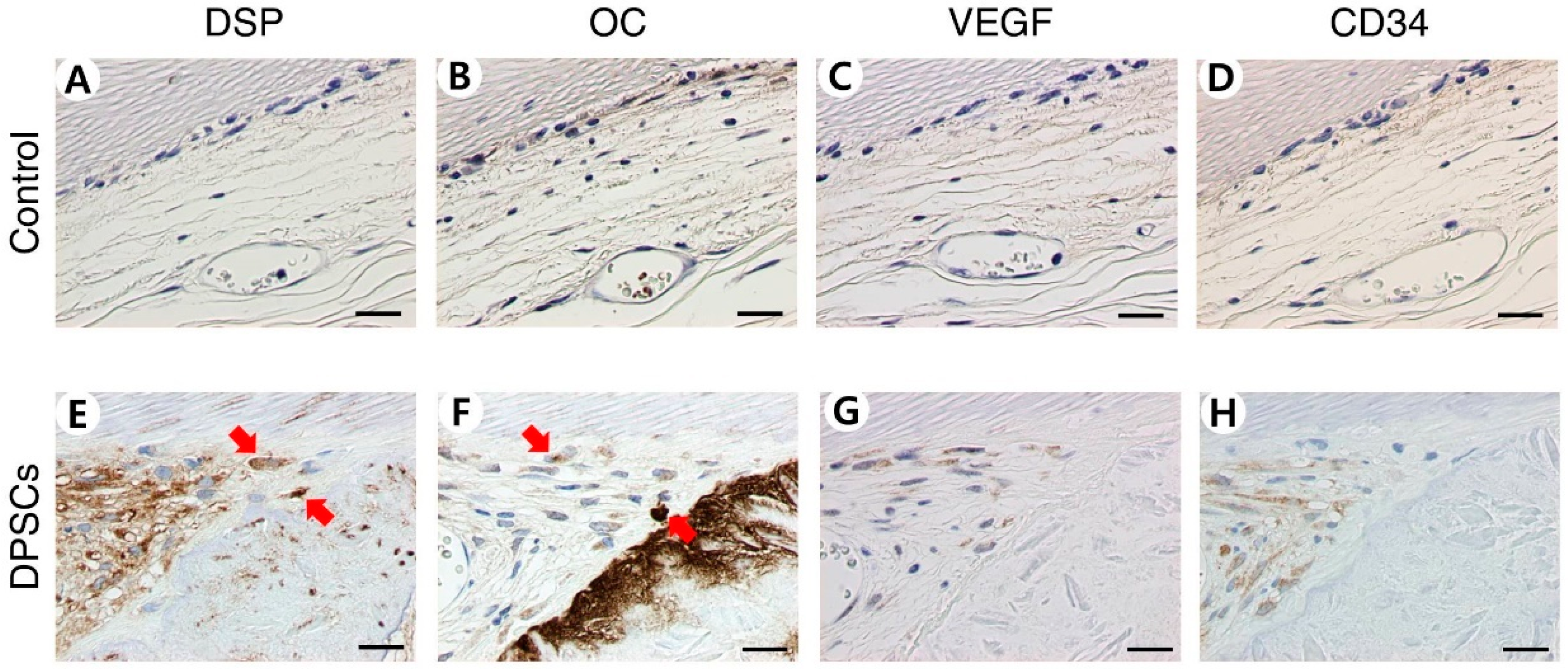 Applsci 11 08472 g005