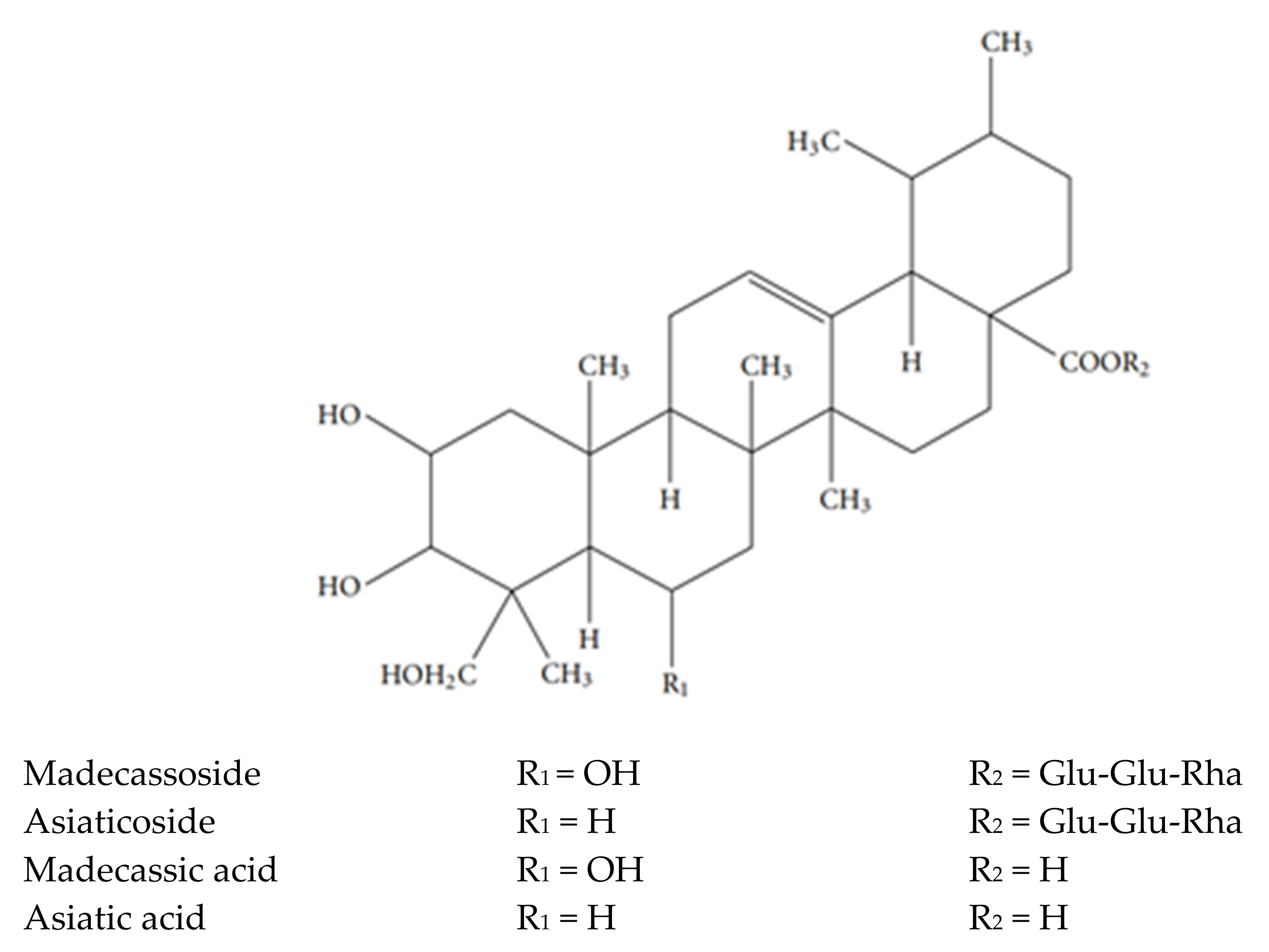 Applsci 11 08475 g002 Applsci 11 08475 g002