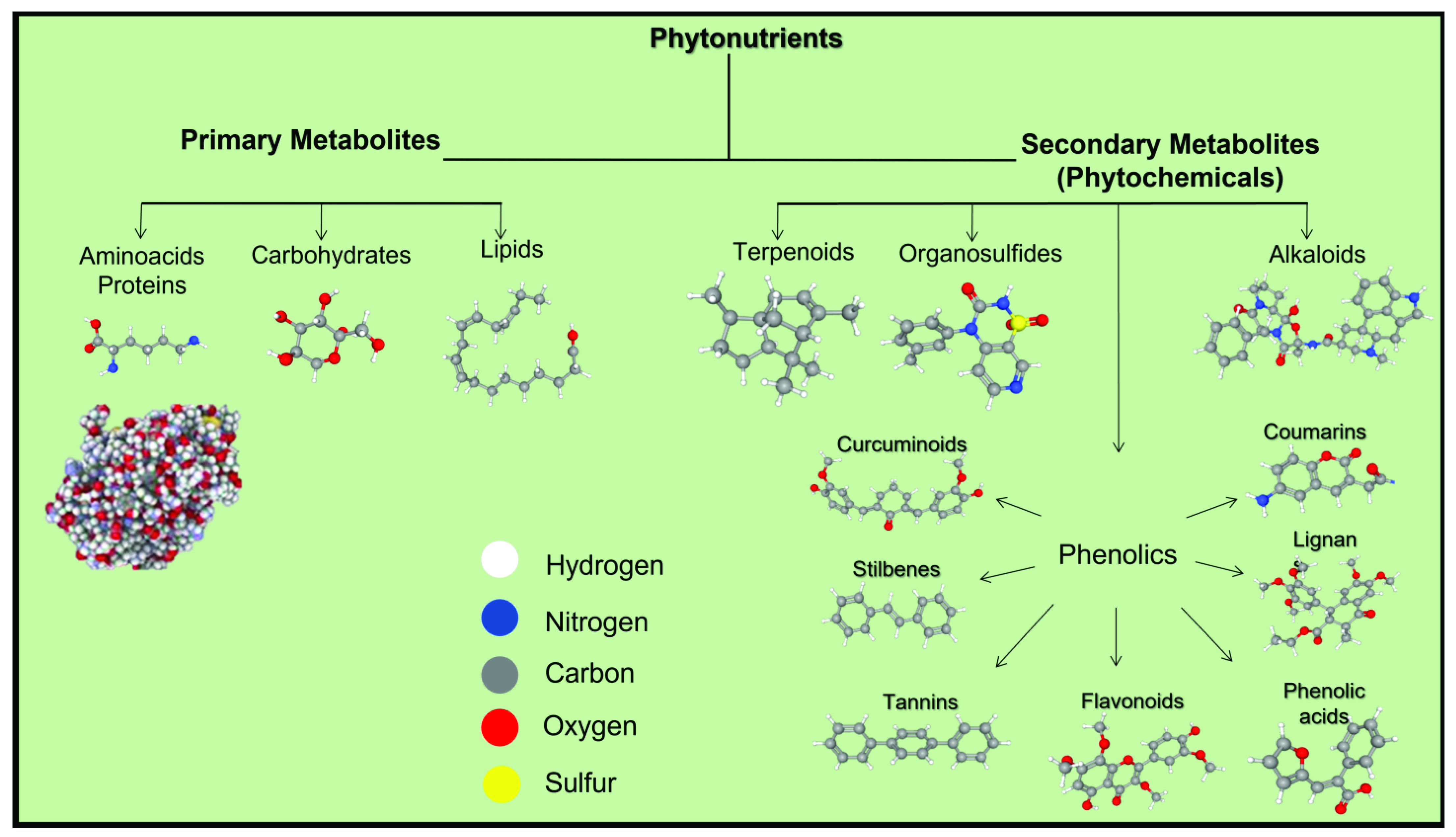Applsci 11 08477 g001 Applsci 11 08477 g001