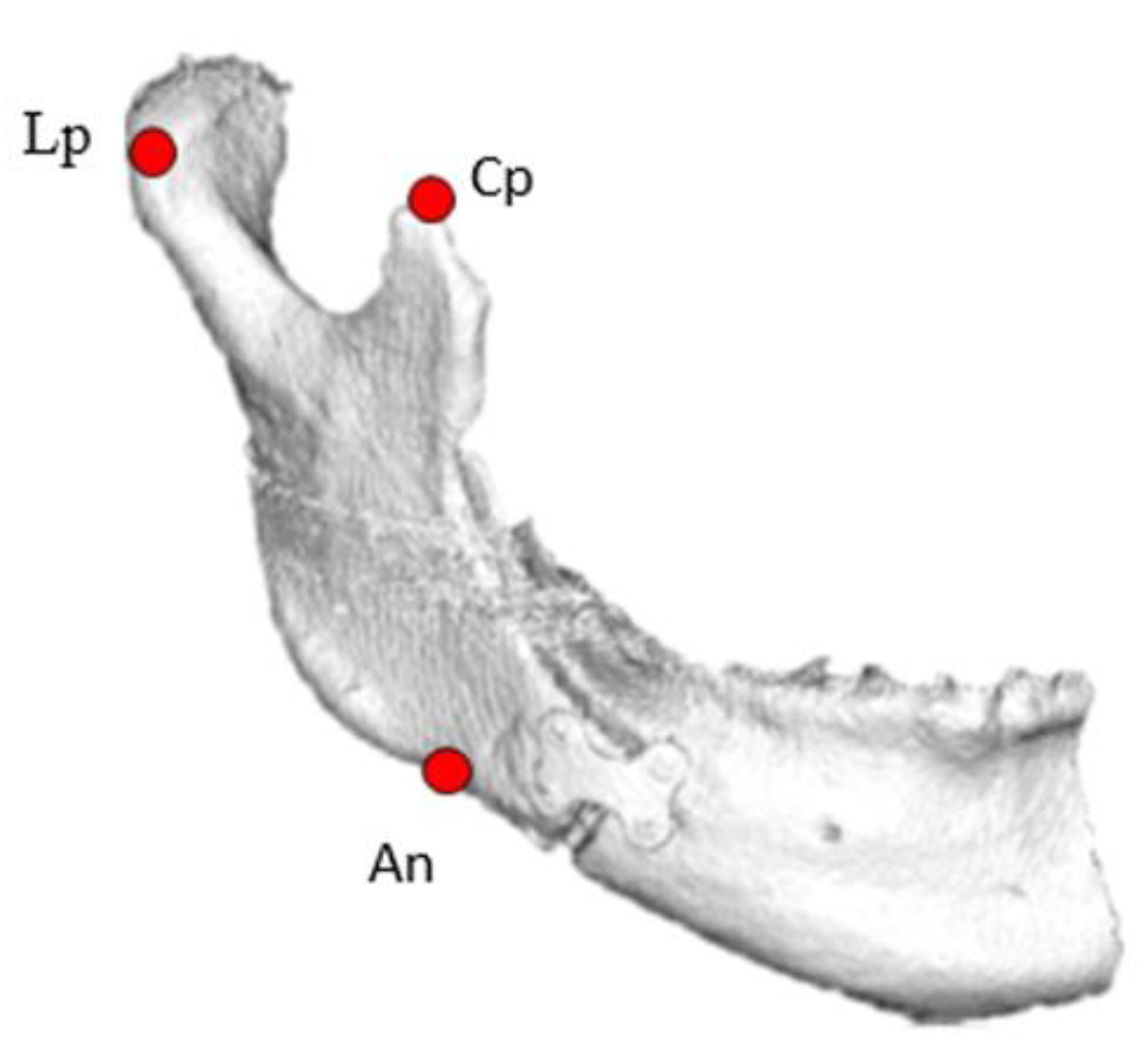 Applsci 11 08488 g004