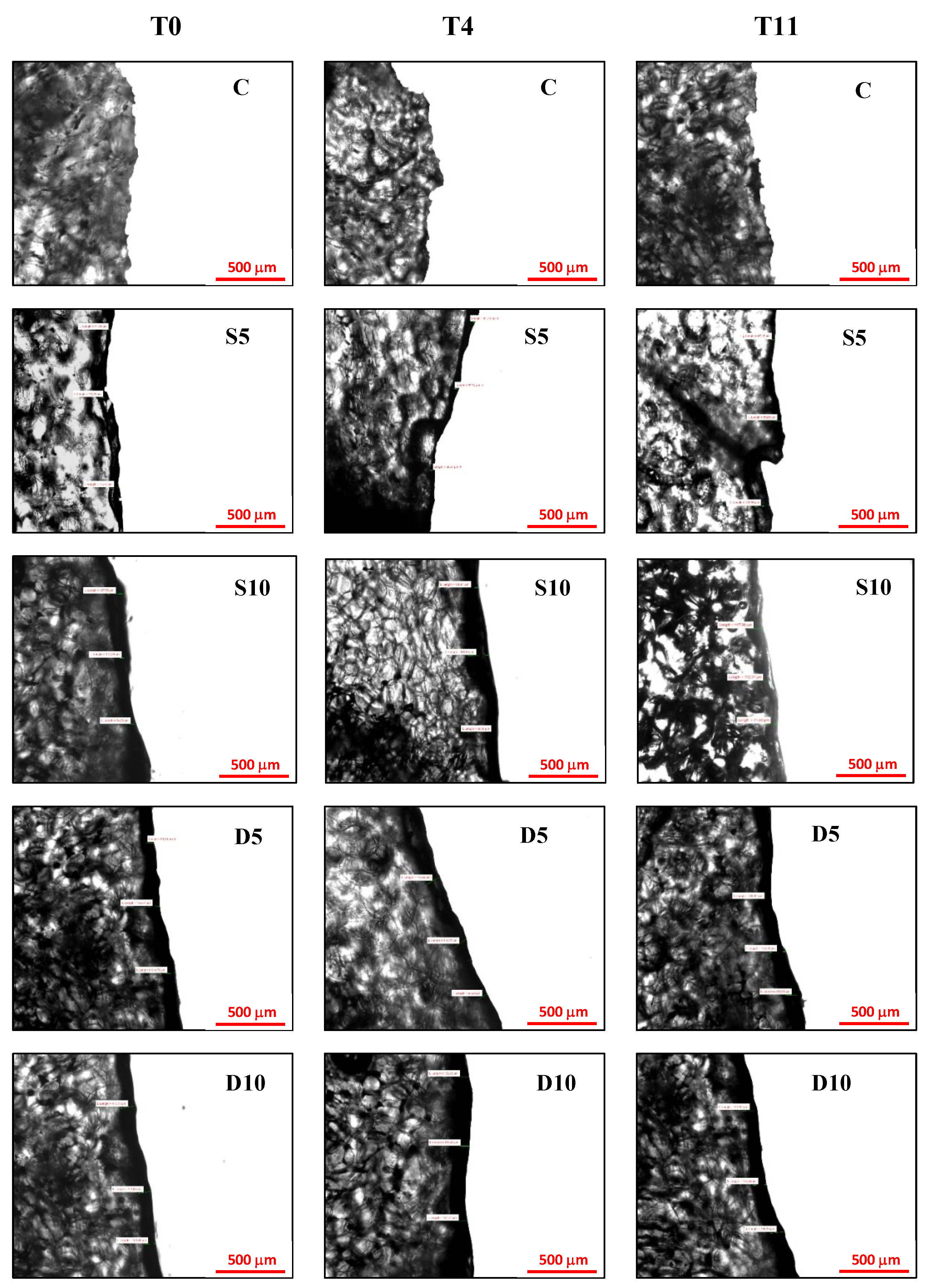 Applsci 11 08510 g002