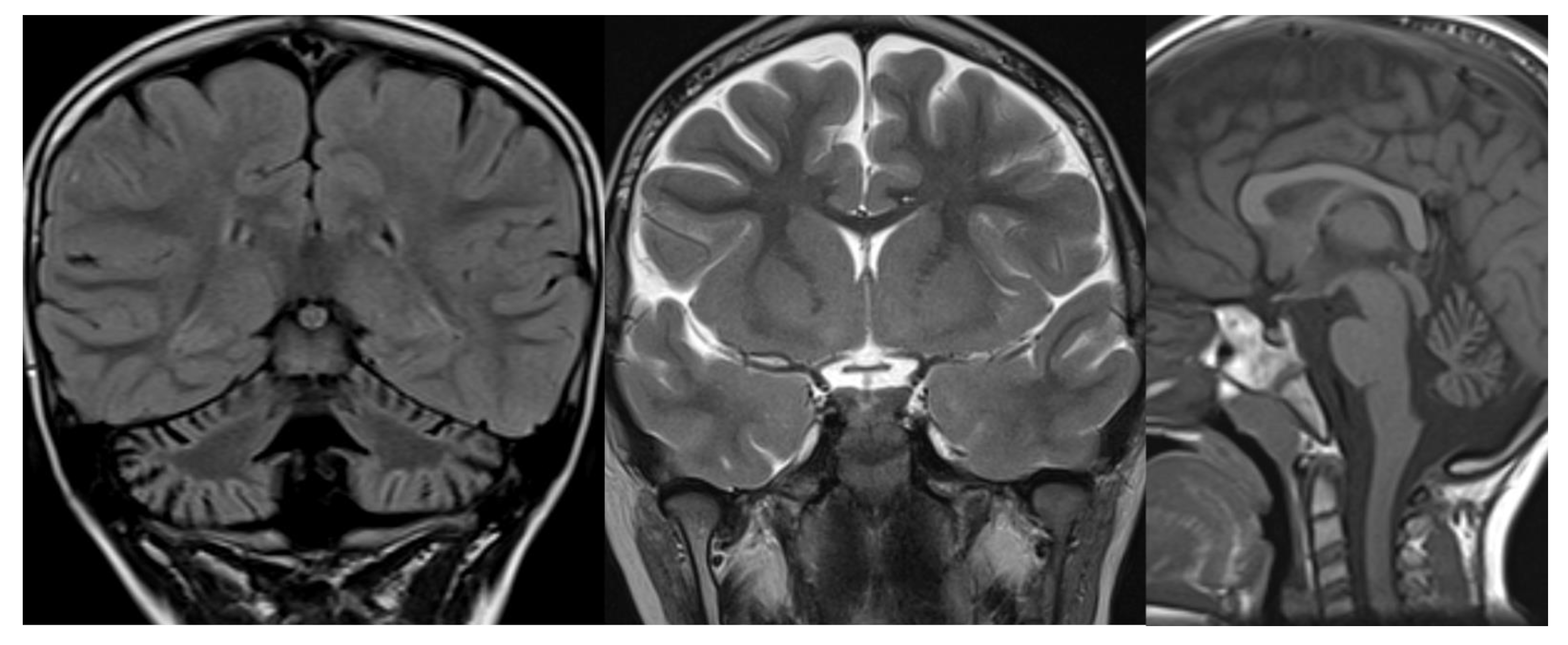 Applsci 11 08522 g003