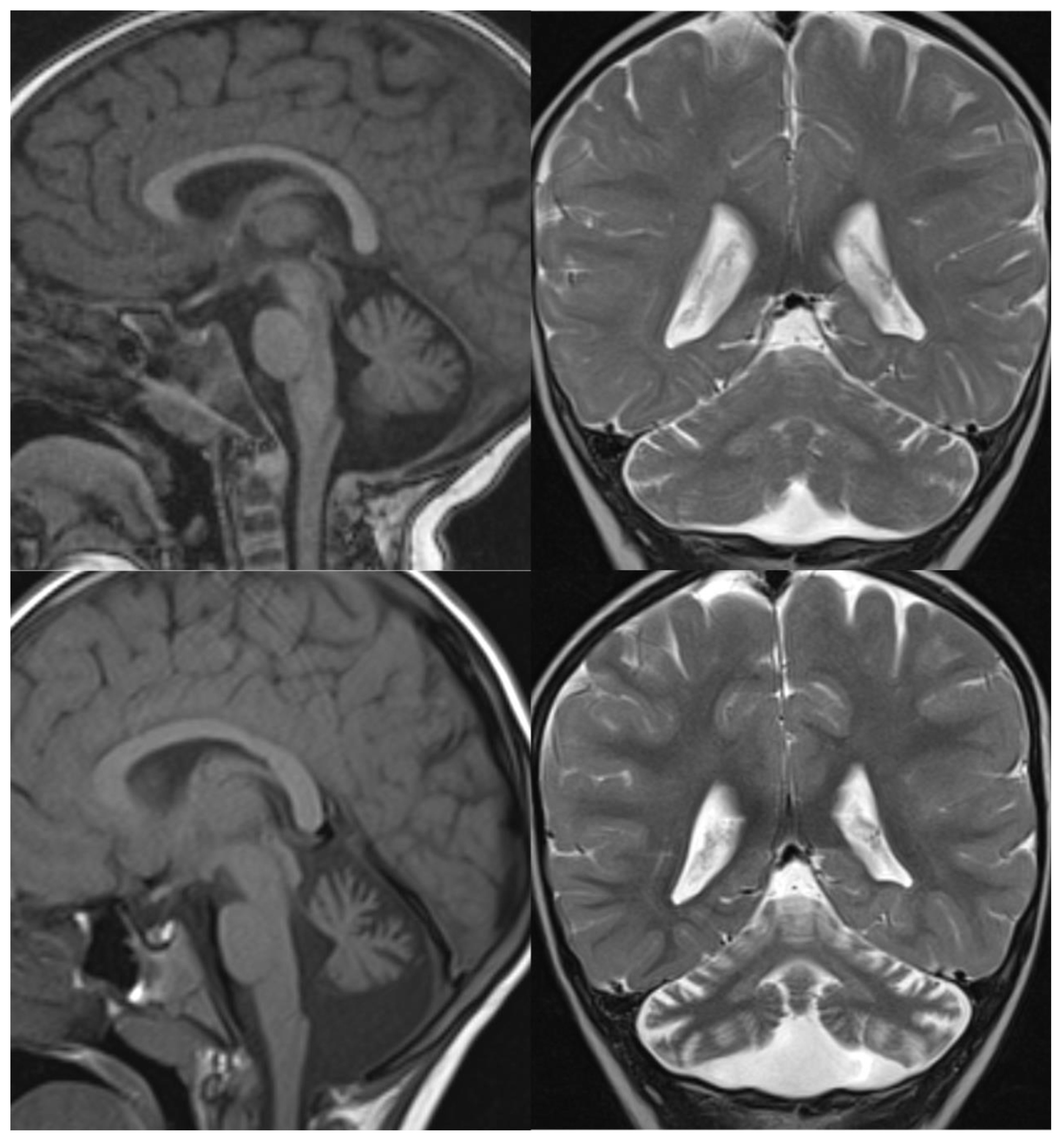 Applsci 11 08522 g005