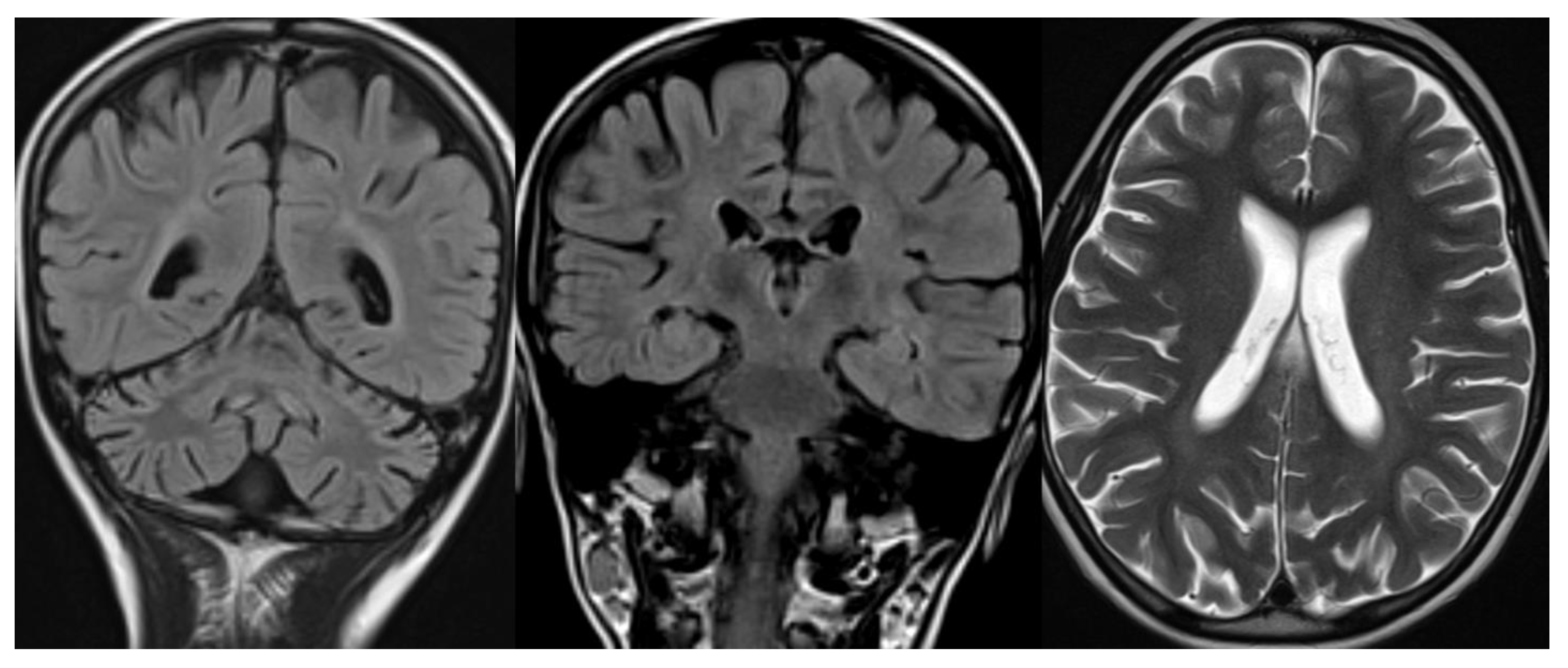 Applsci 11 08522 g006