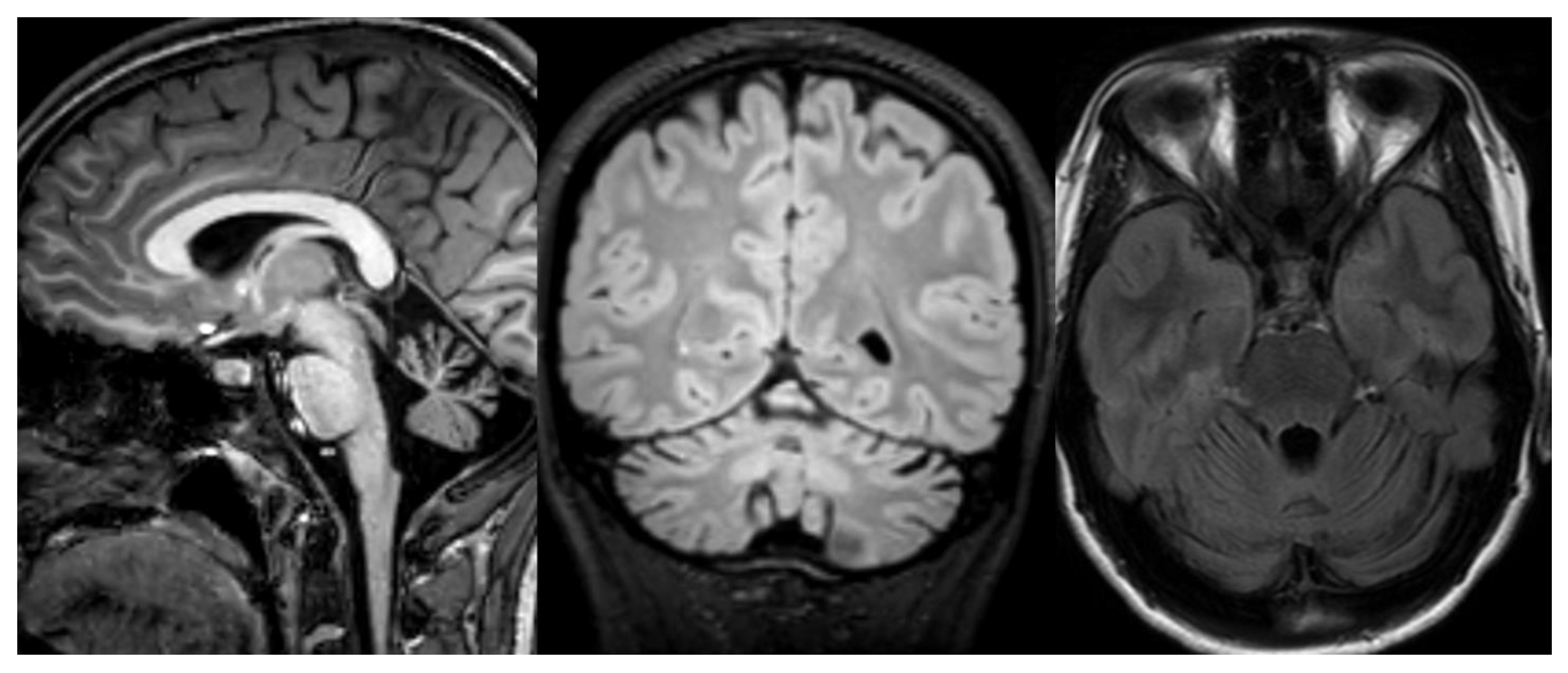 Applsci 11 08522 g008