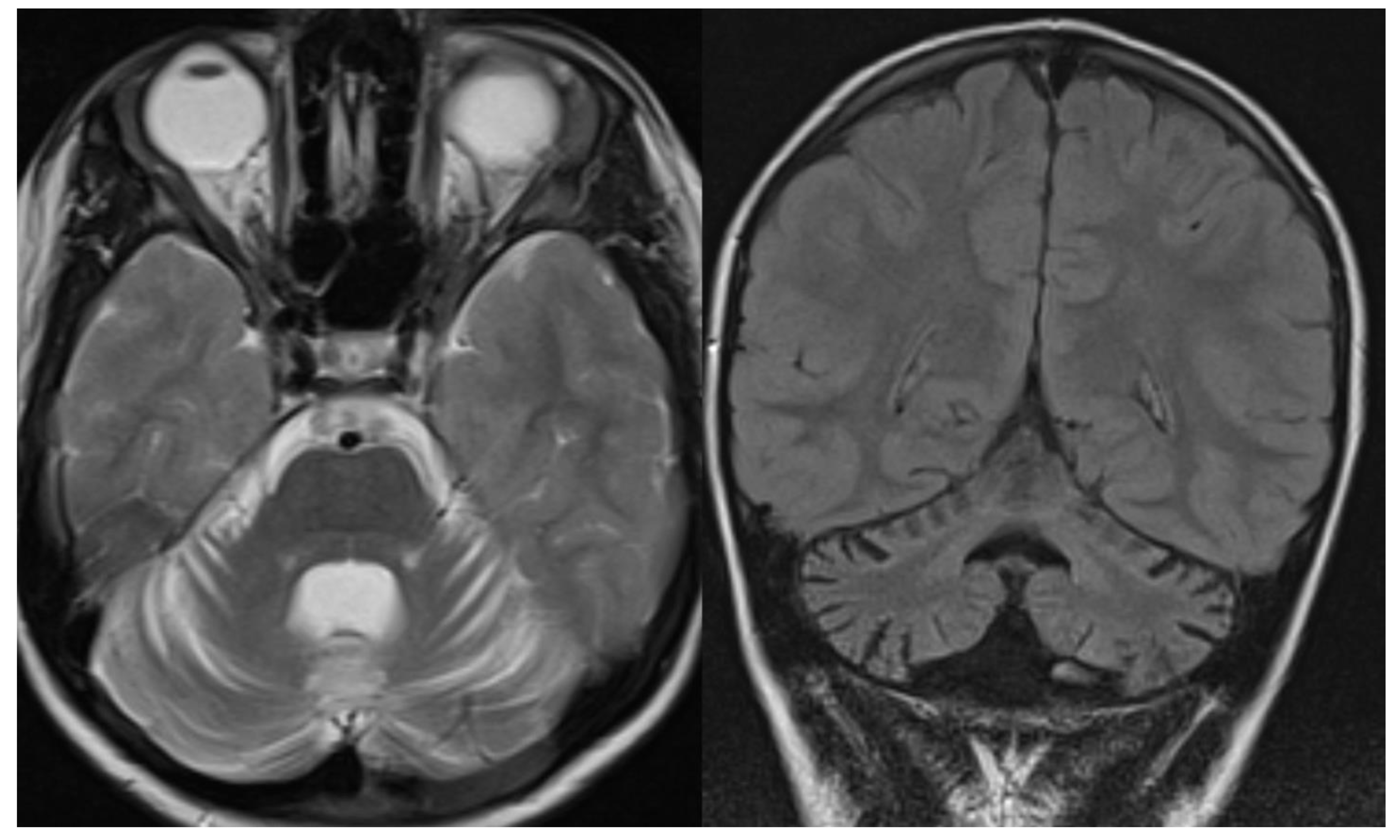 Applsci 11 08522 g009