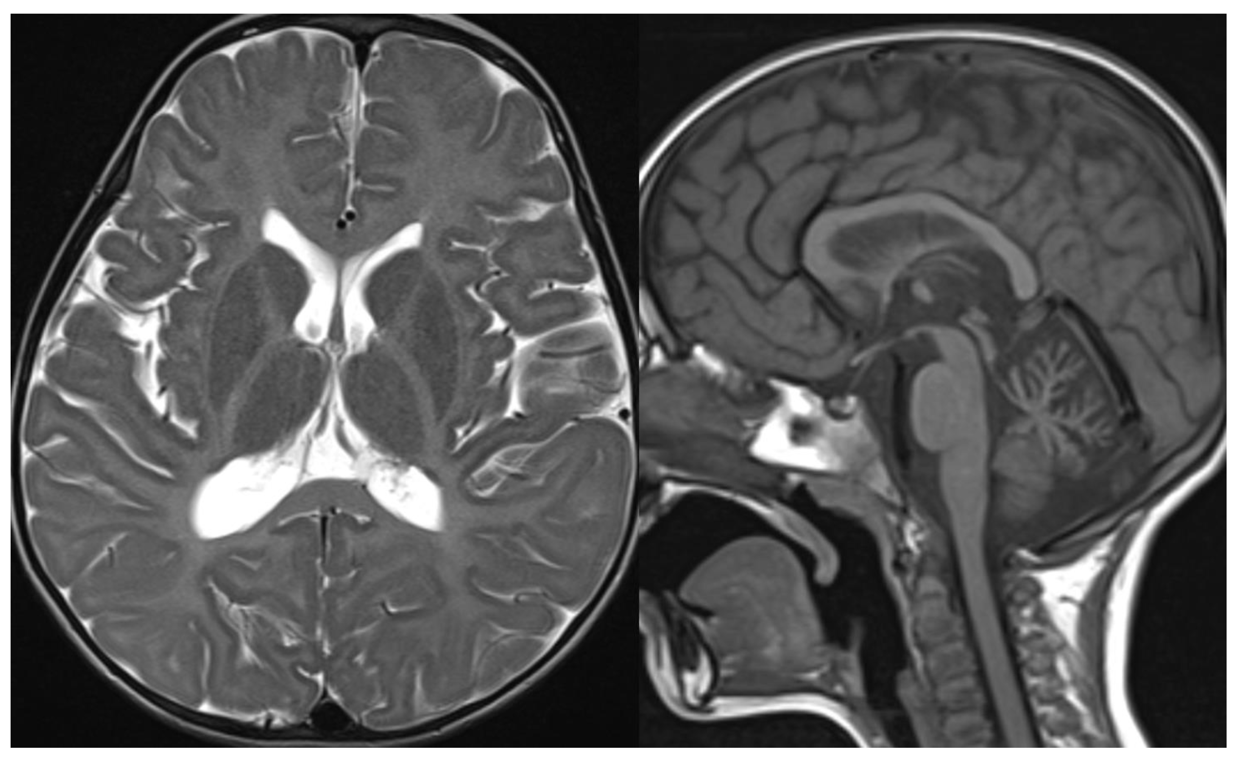 Applsci 11 08522 g010