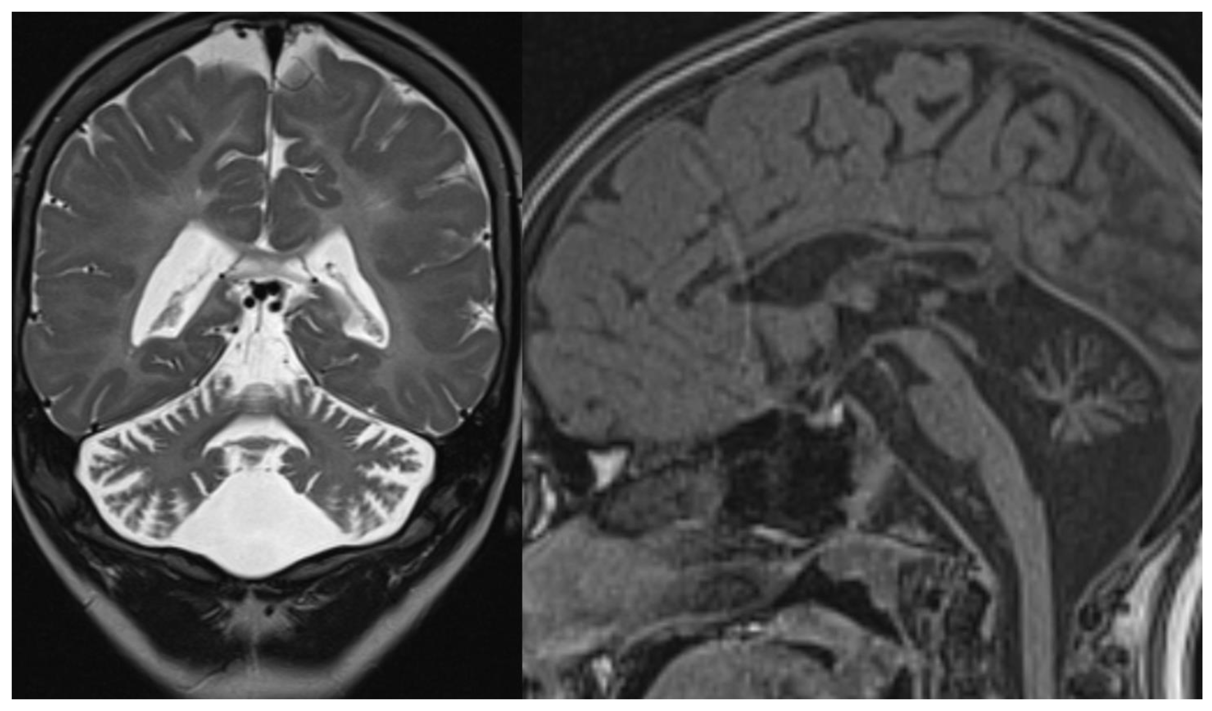 Applsci 11 08522 g011