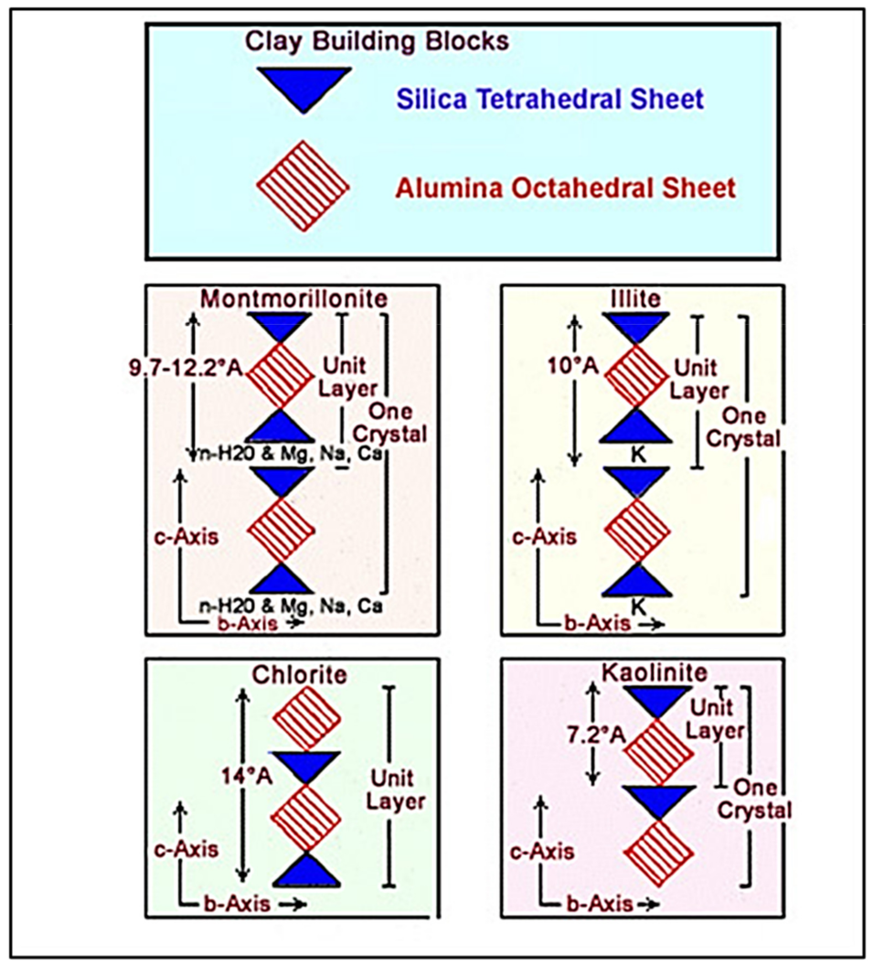 Applsci 11 08525 g012