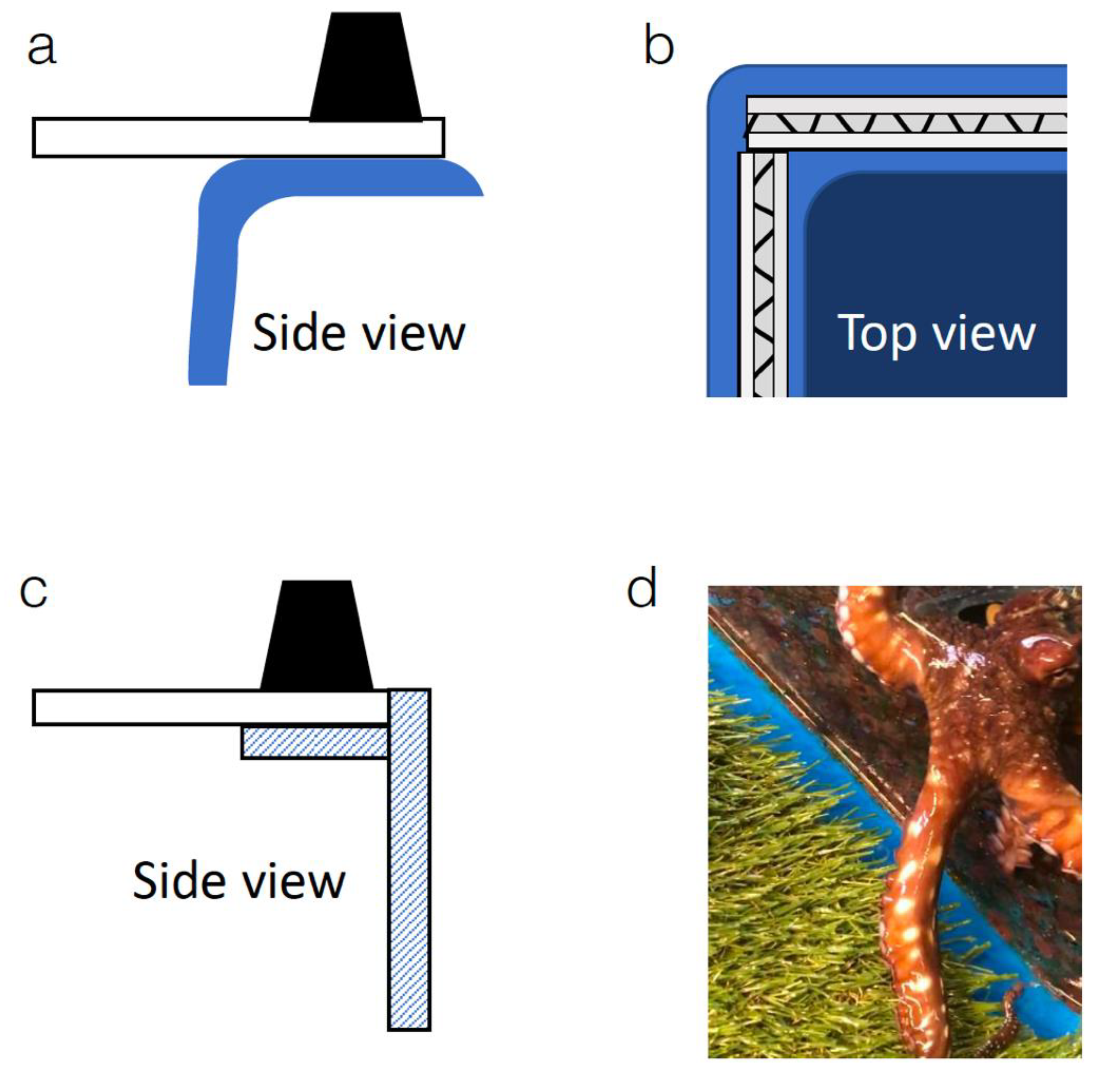 Applsci 11 08547 g002