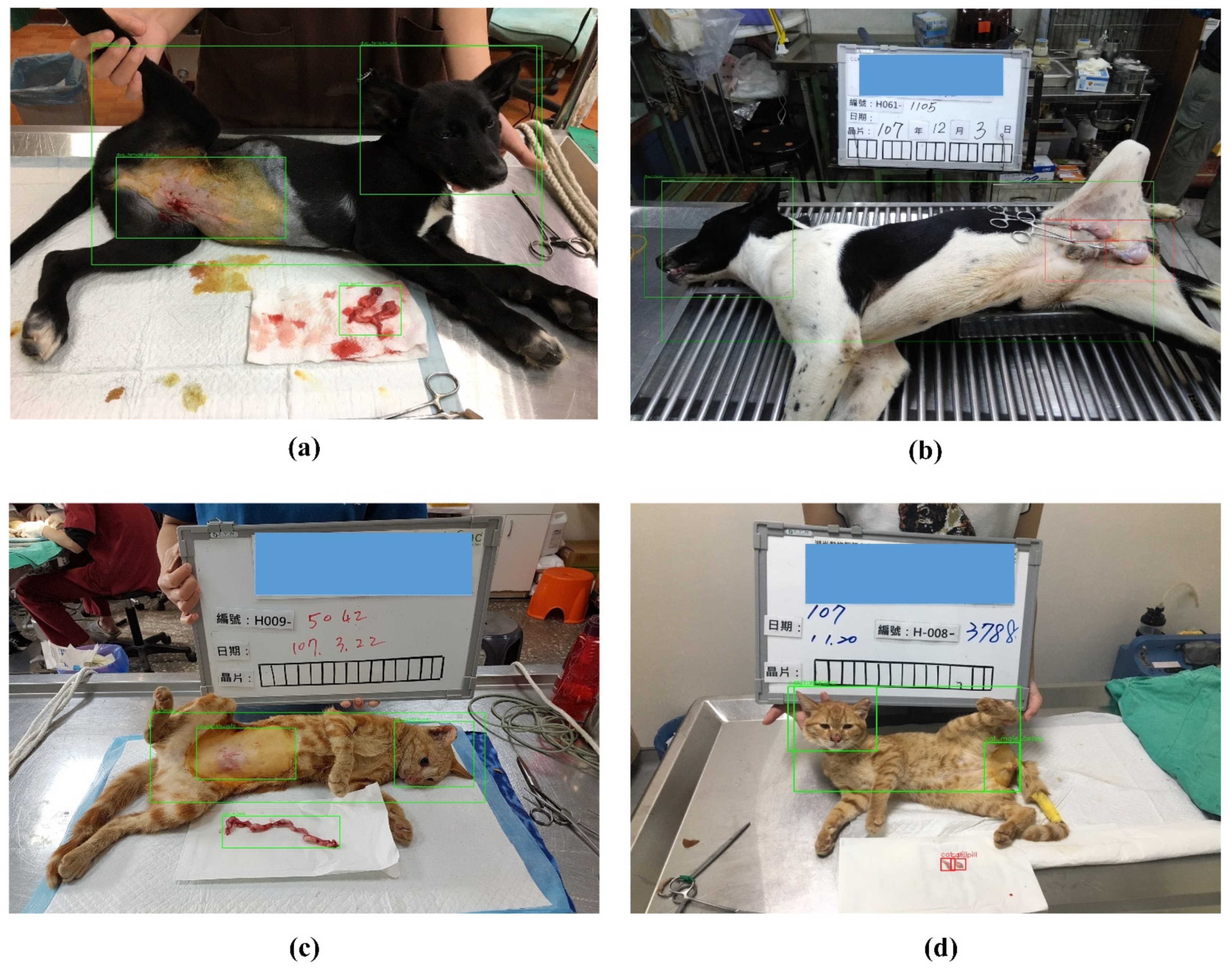 Applsci 11 08578 g005