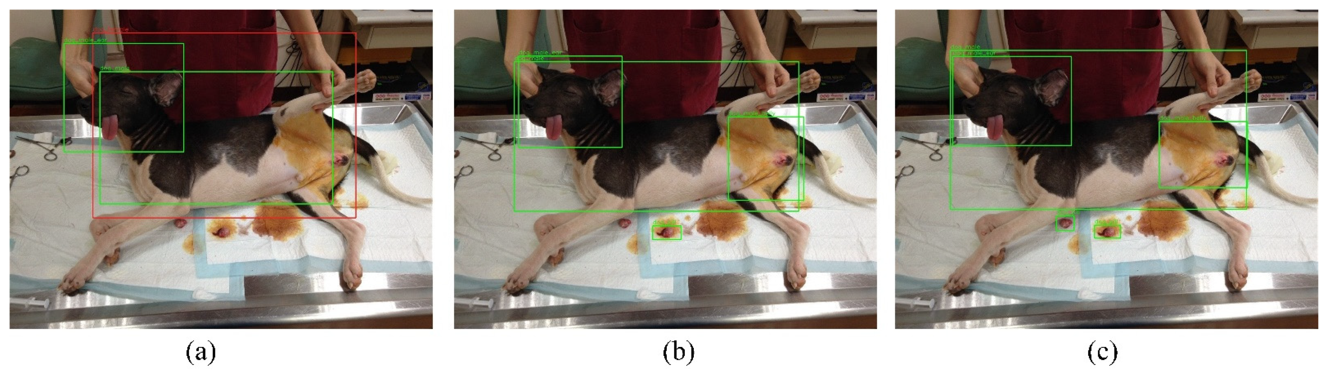 Applsci 11 08578 g007