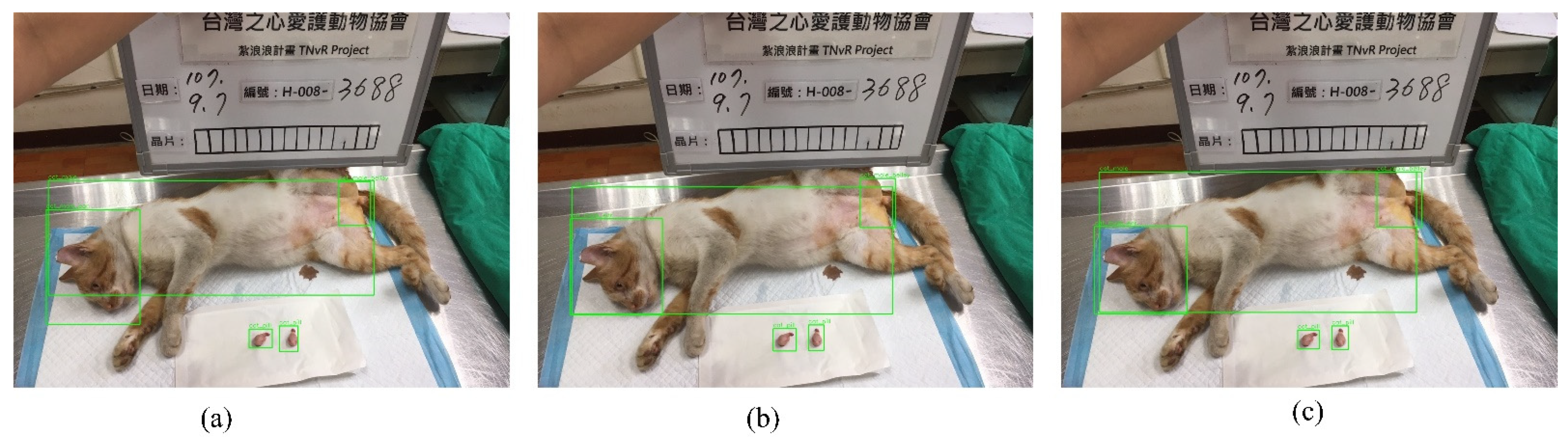 Applsci 11 08578 g009