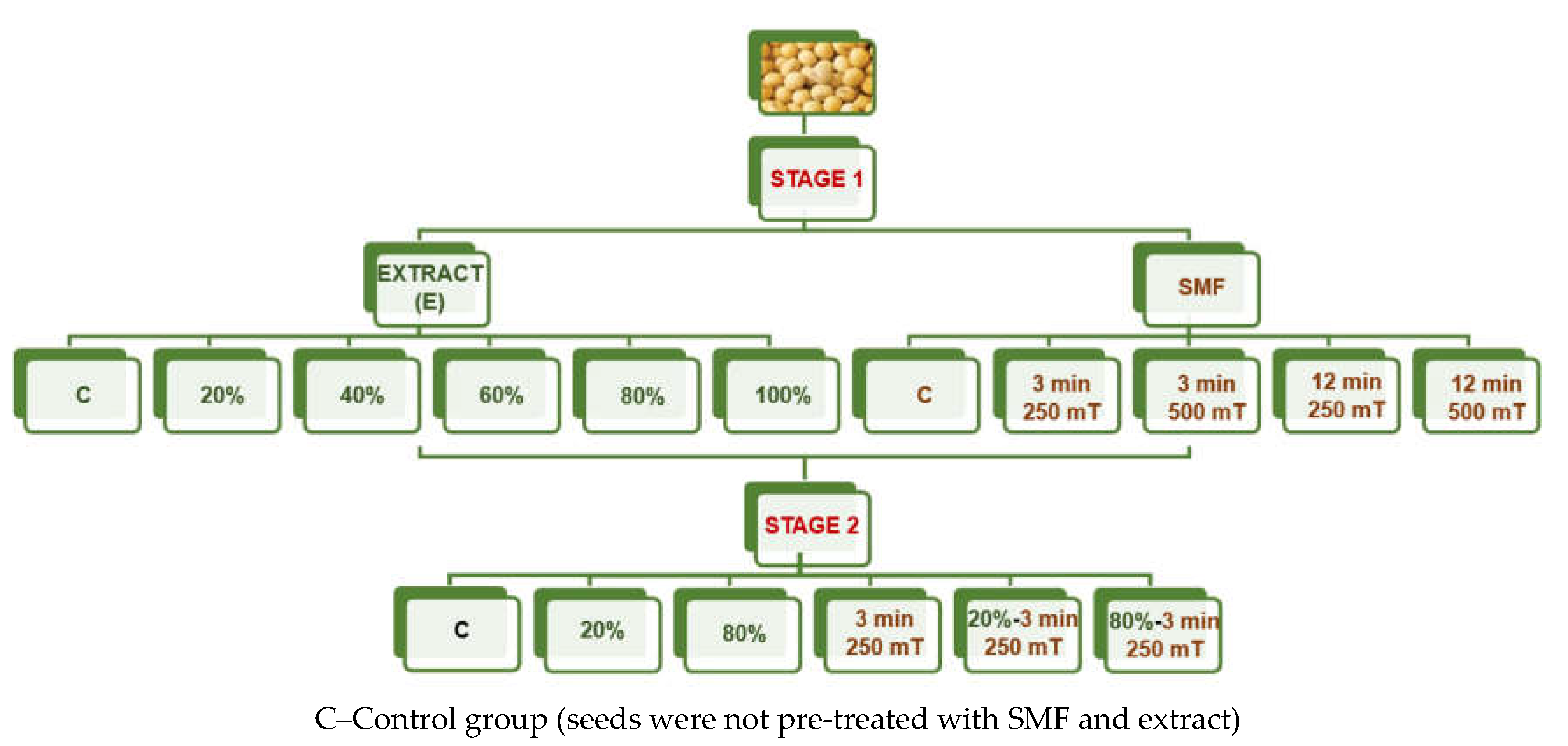Applsci 11 08597 g001