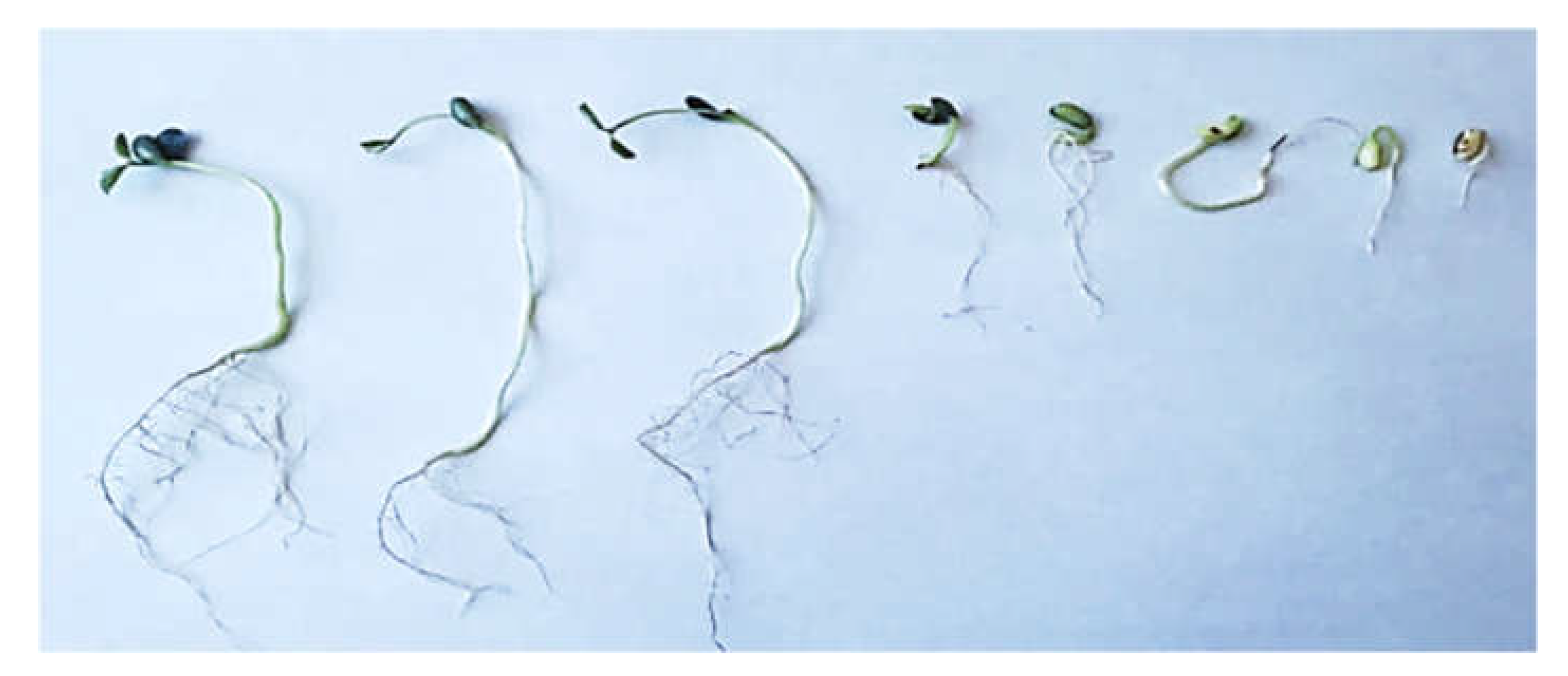 Applsci 11 08597 g002