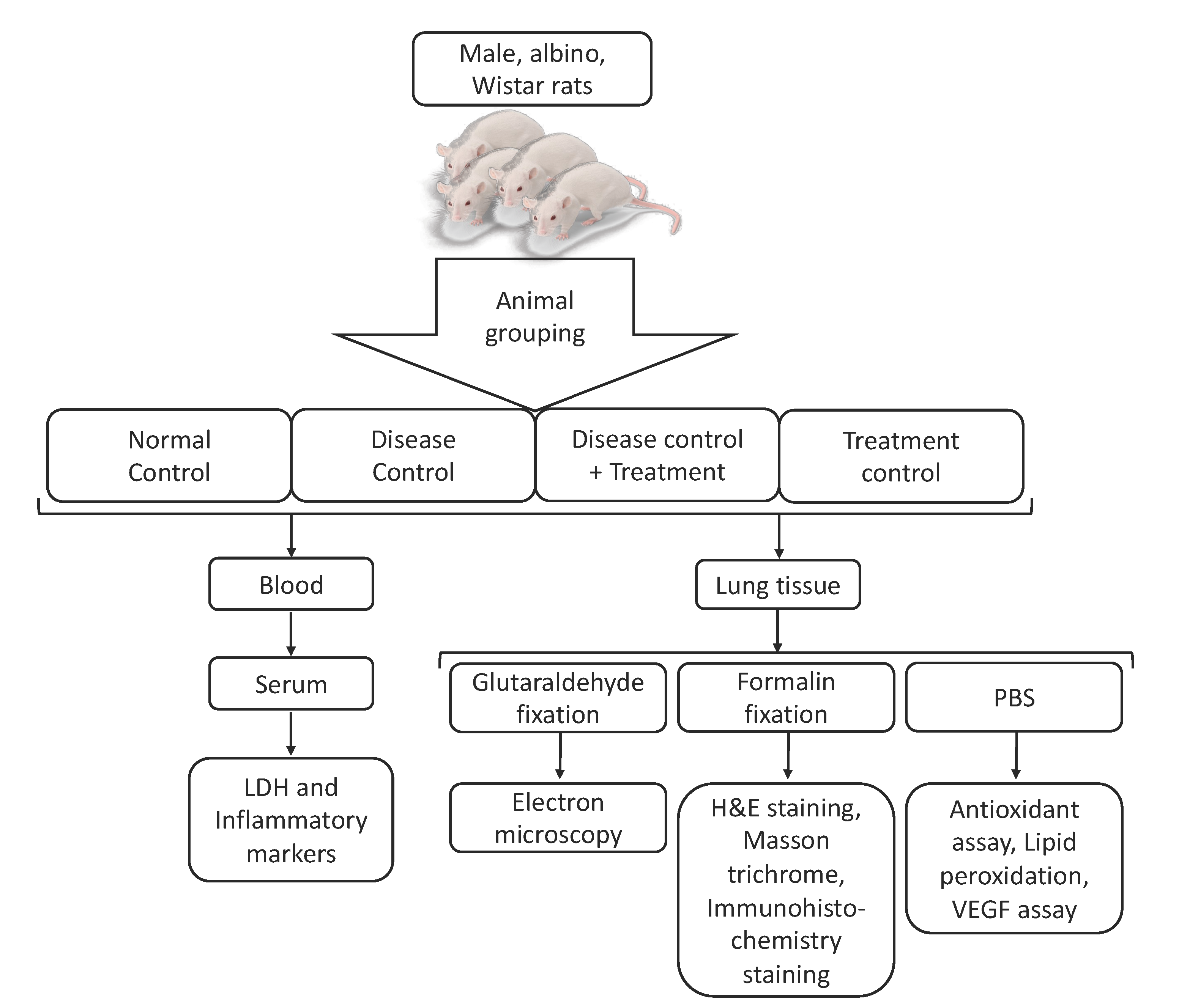 Applsci 11 08675 g003 Applsci 11 08675 g003