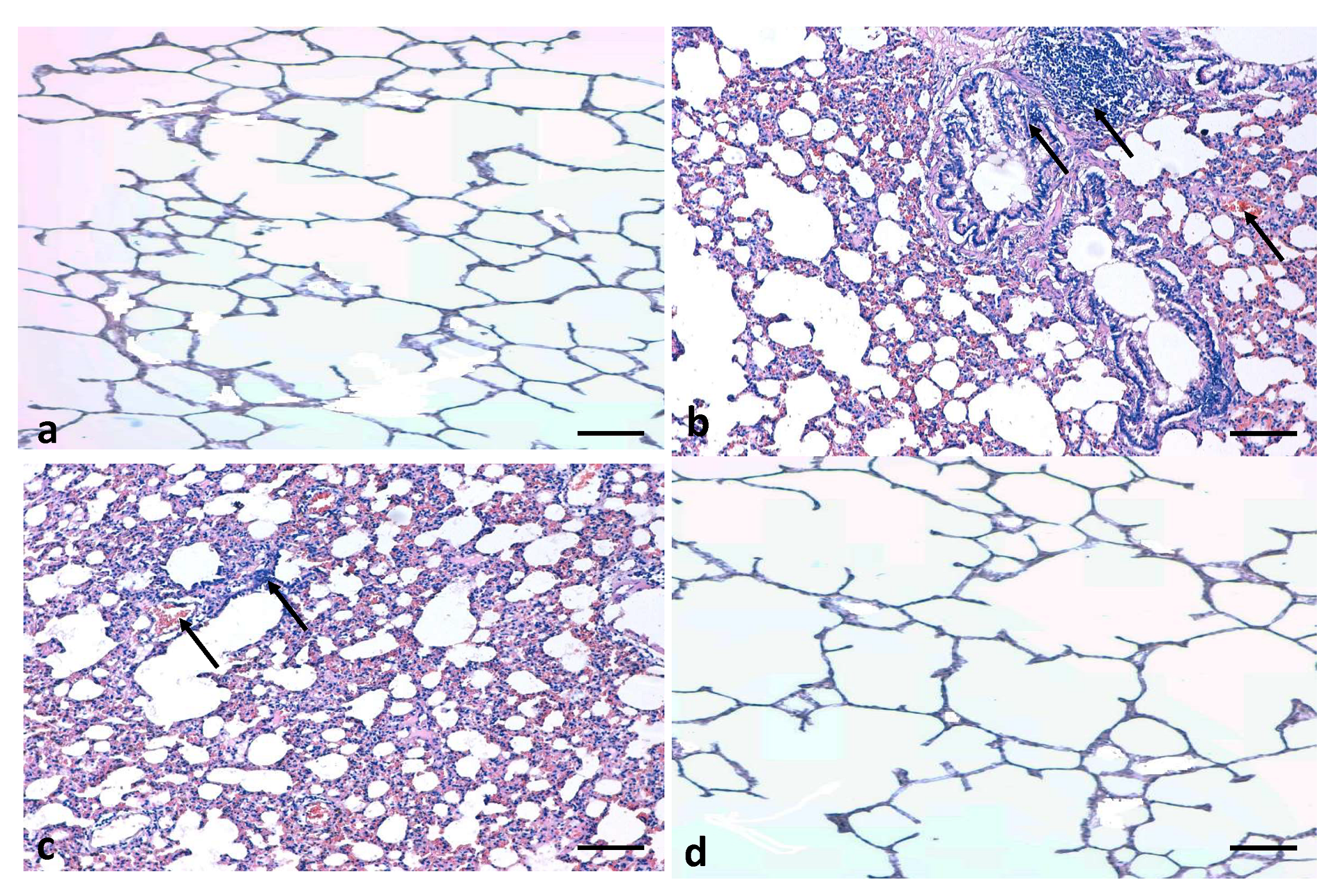 Applsci 11 08675 g009 Applsci 11 08675 g009