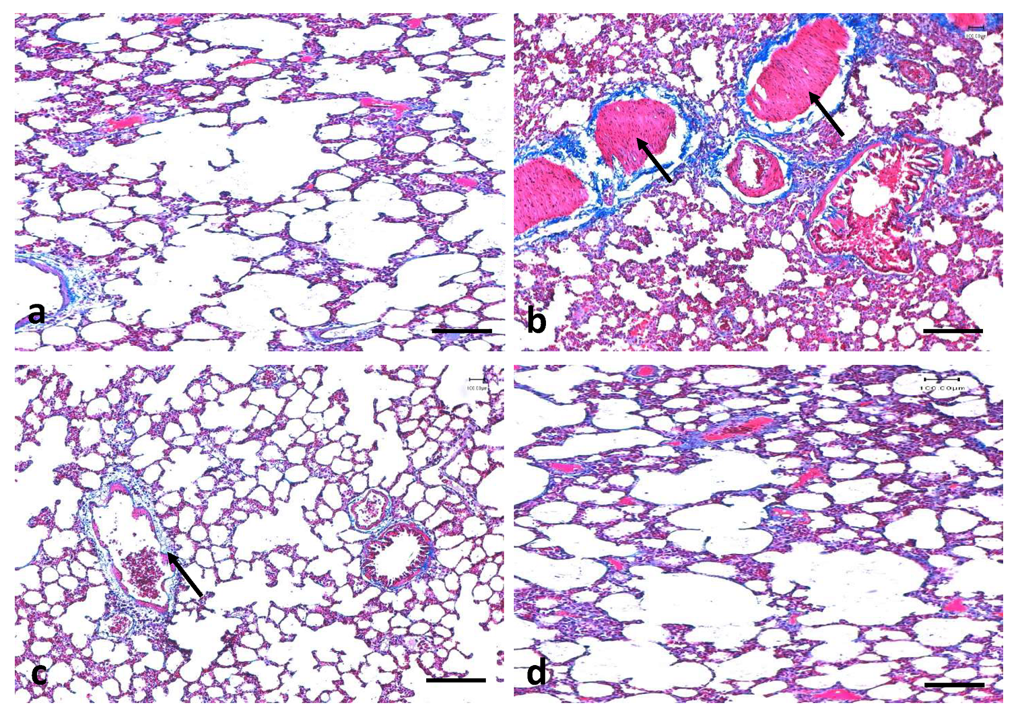 Applsci 11 08675 g010 Applsci 11 08675 g010