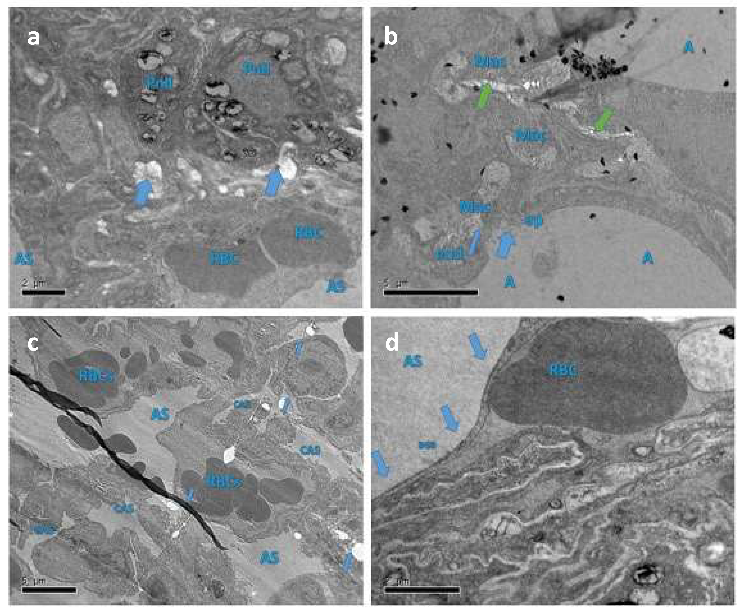 Applsci 11 08675 g011 Applsci 11 08675 g011