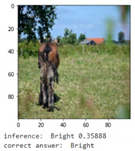 Applsci 11 08694 i009