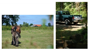 Applsci 11 08694 i017