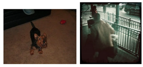 Applsci 11 08694 i019