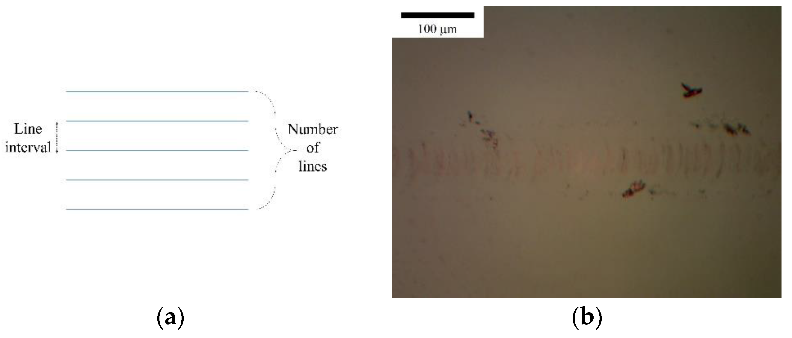 Applsci 11 08695 g003a