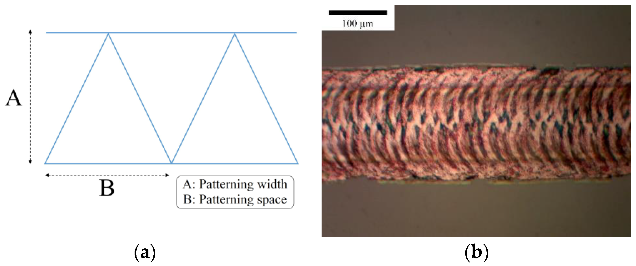 Applsci 11 08695 g007