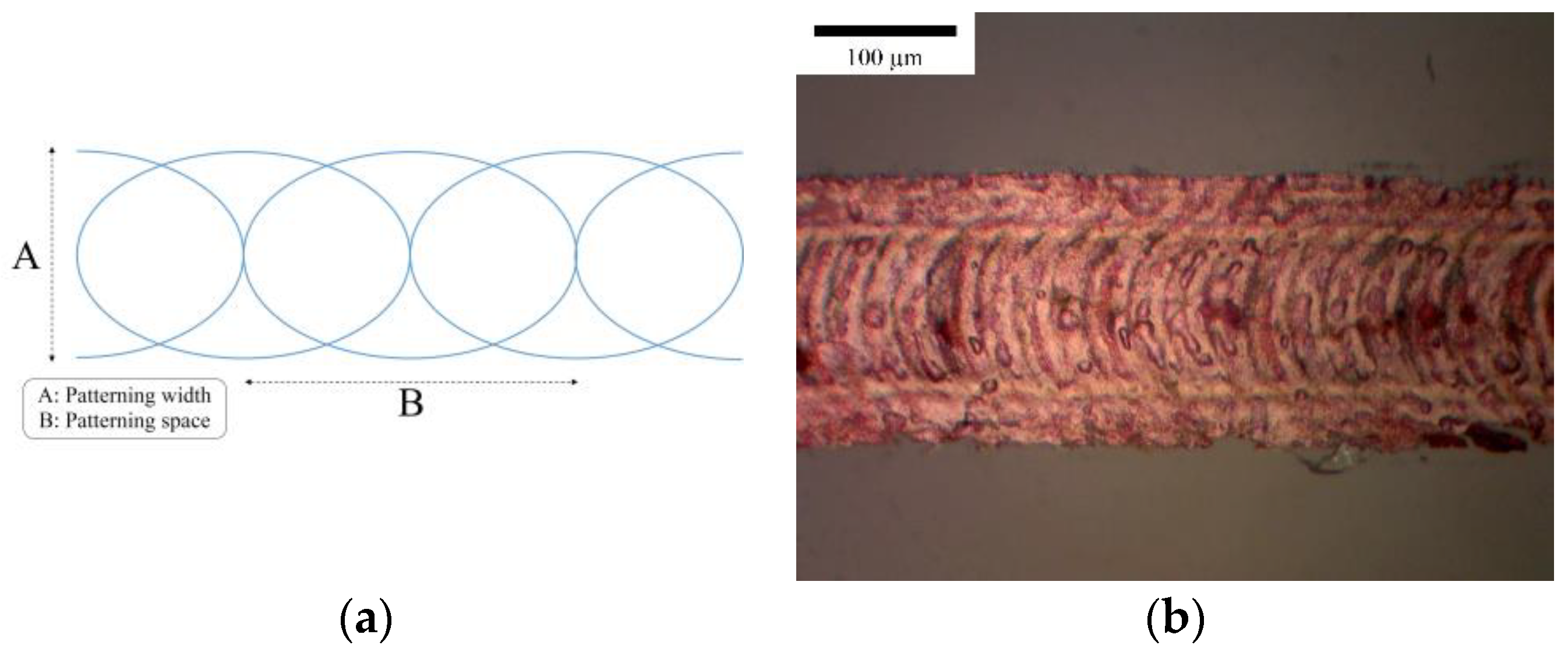 Applsci 11 08695 g008