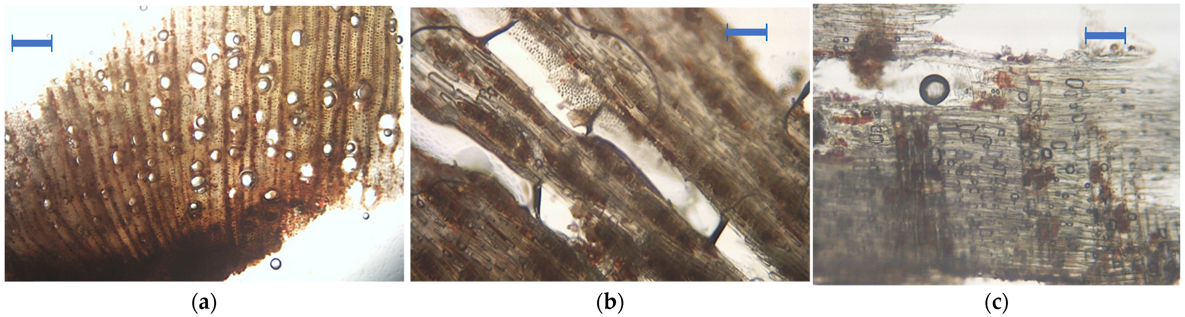 Applsci 11 08704 g002