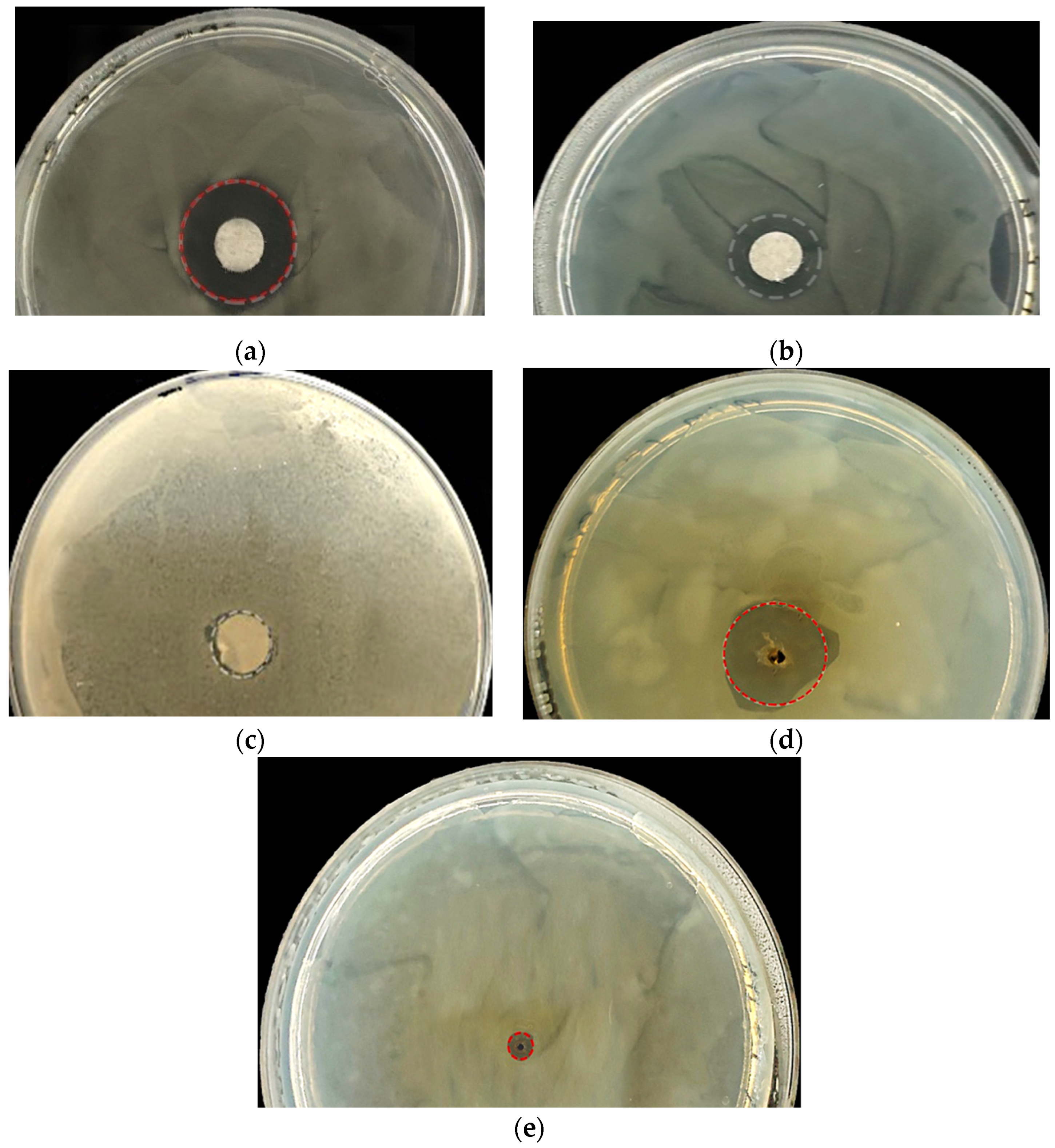 Applsci 11 08704 g004