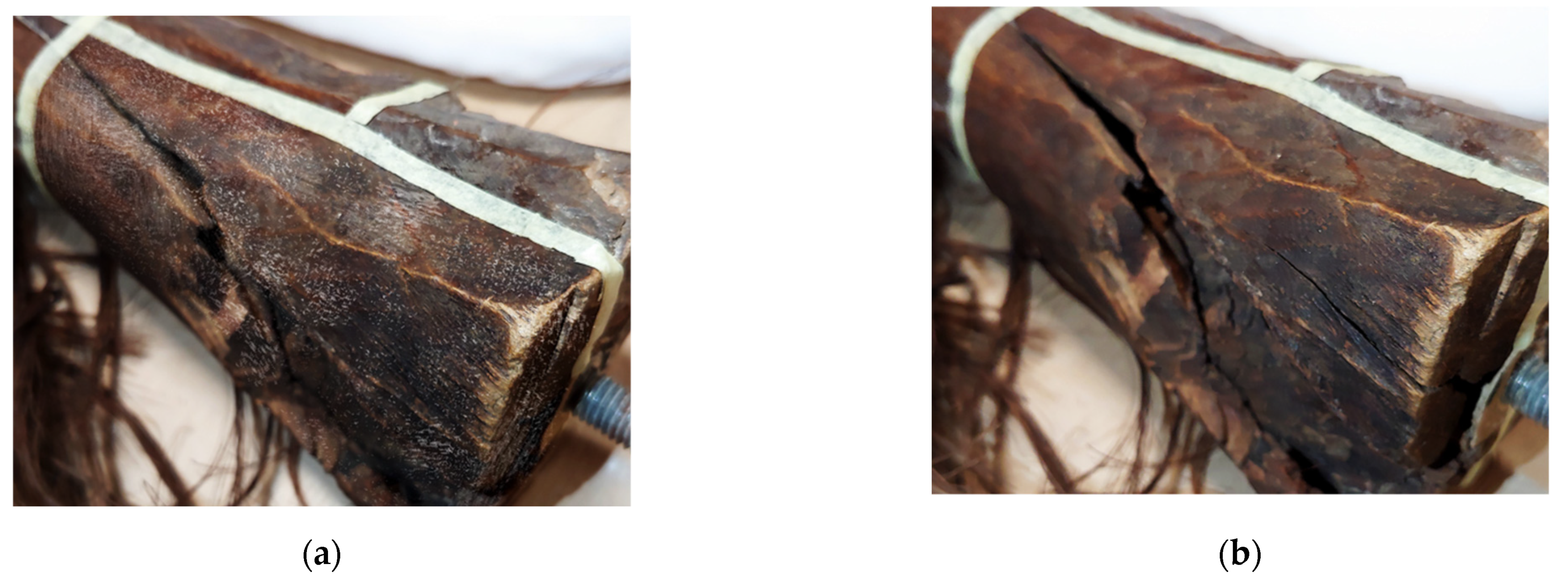 Applsci 11 08704 g005